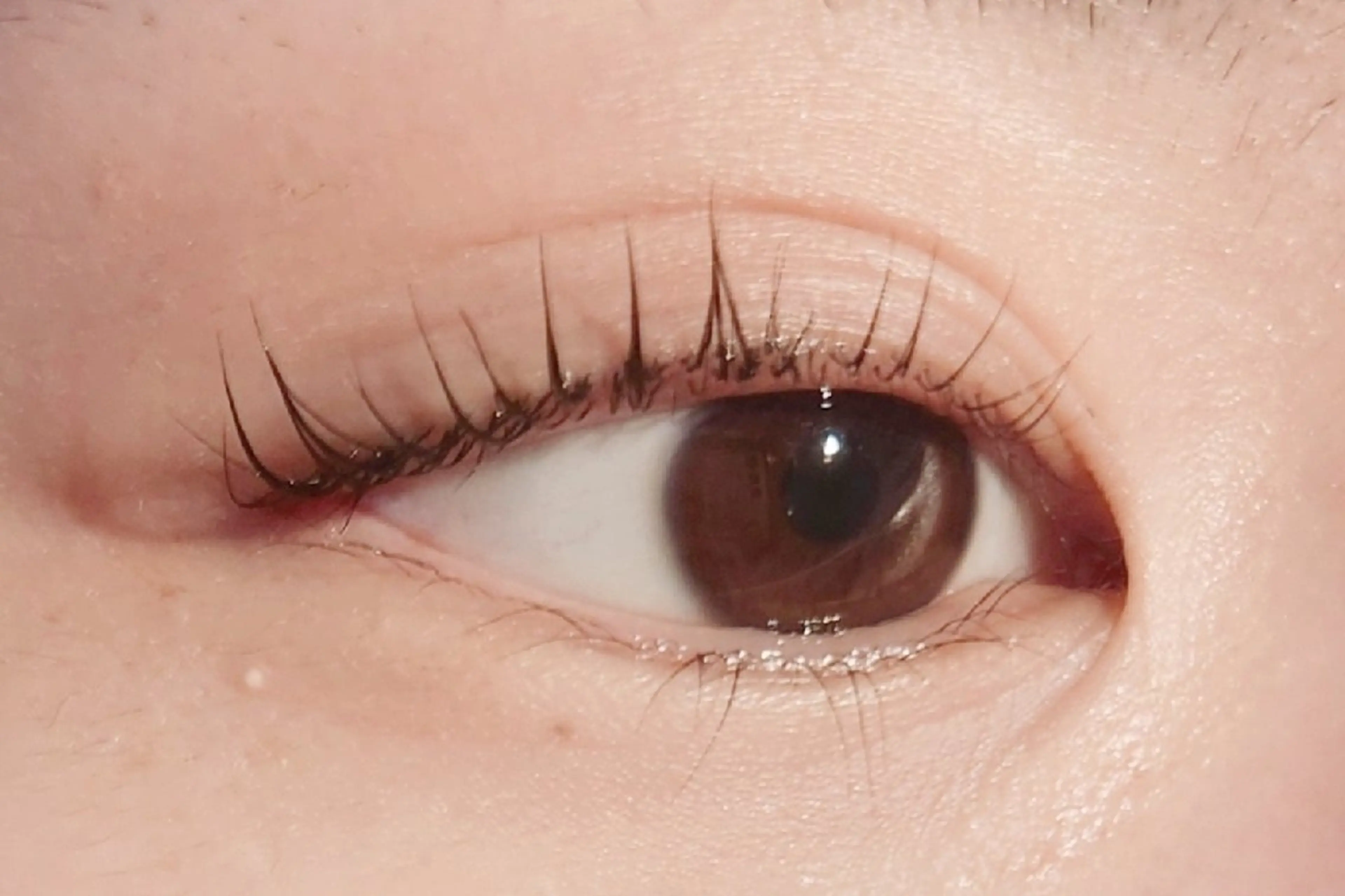 マツエク・マツパ REMIA戸塚 💐.°♡のマツエク・マツパデザイン