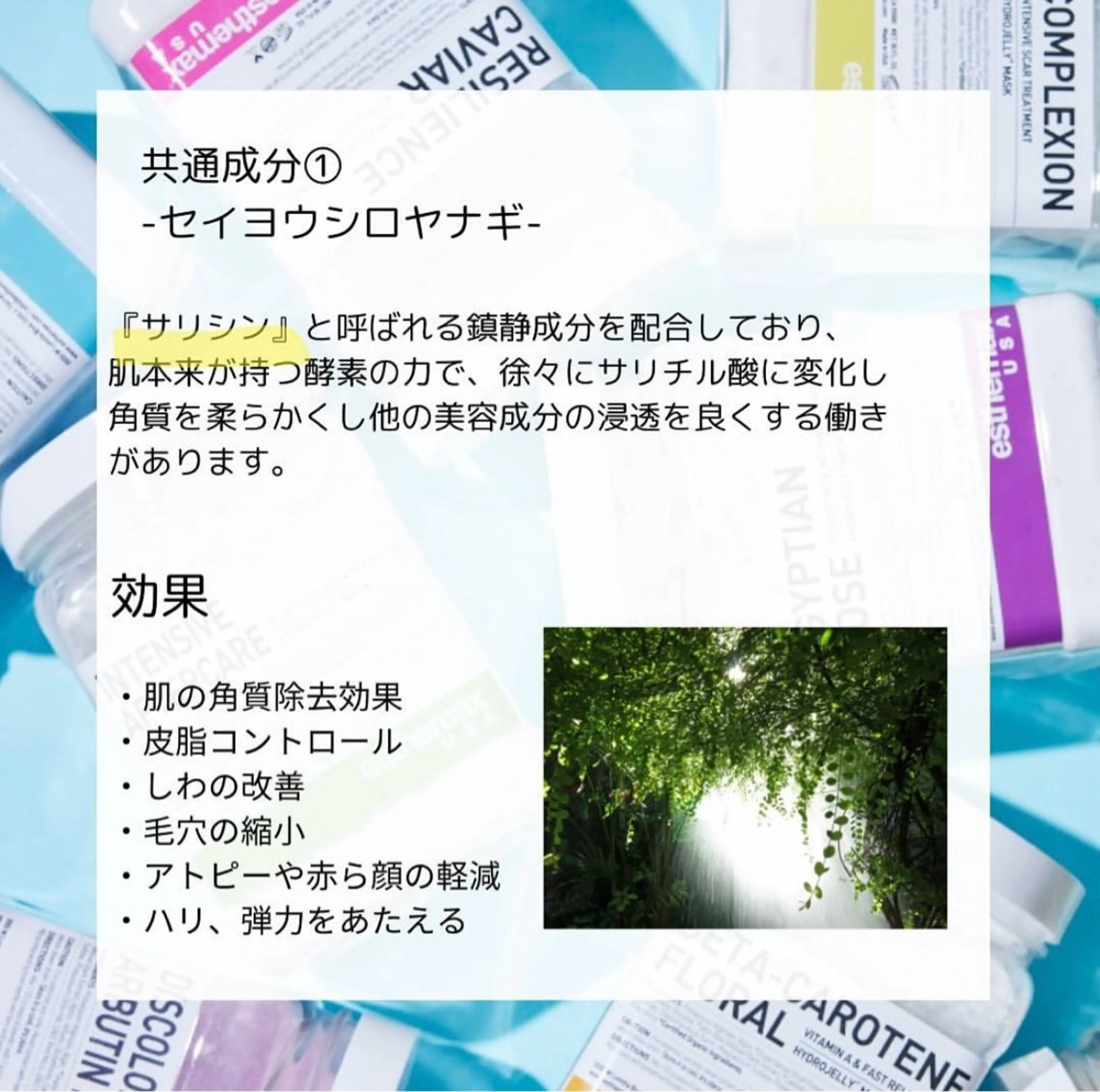 Lily luce 美骨小顔矯正のその他イメージ