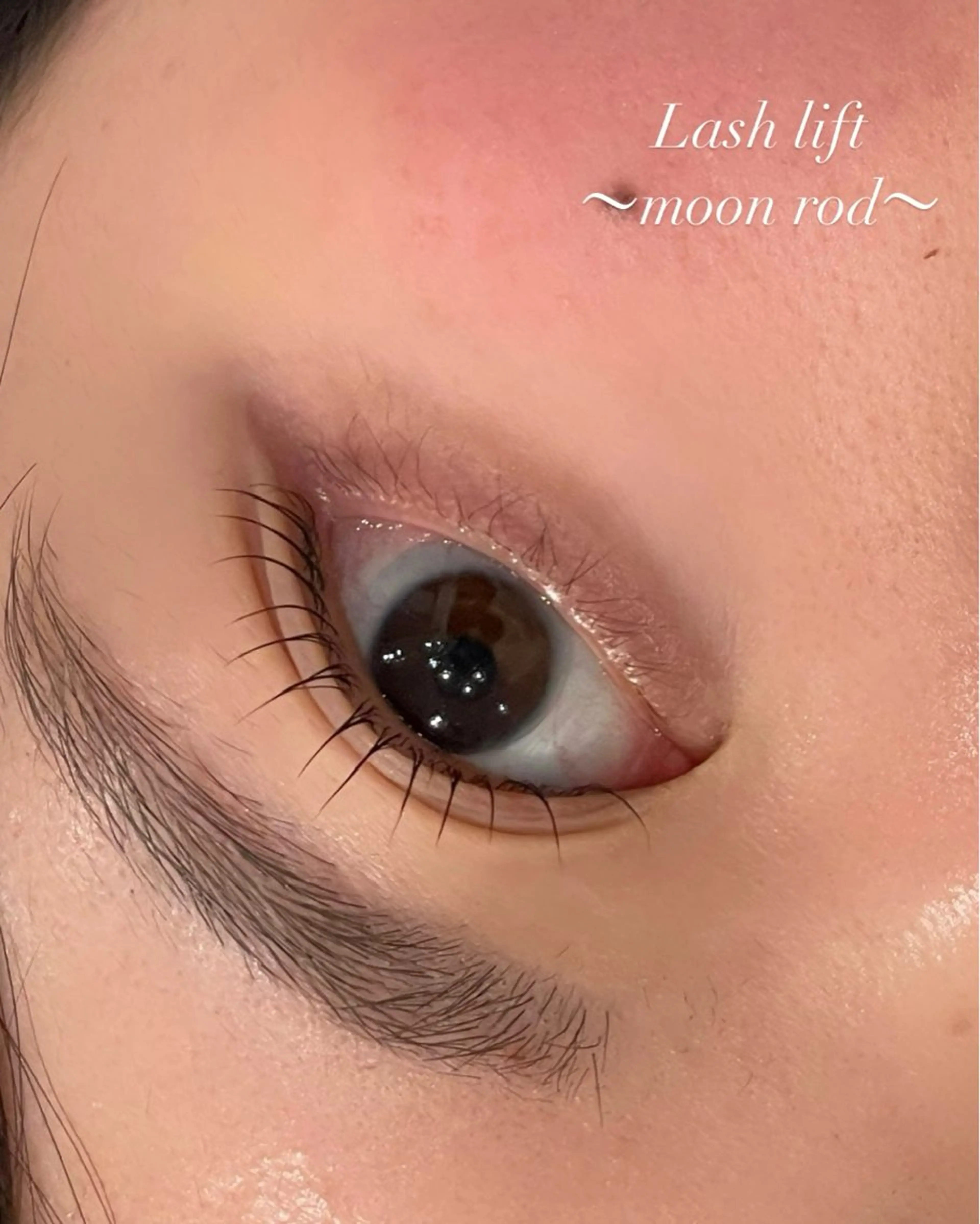 当日限定🌷〈新規〉次世代まつ毛パーマorパリジェンヌラッシュリフト※SNS用にお目元のお写真を撮らせていただきます！の写真