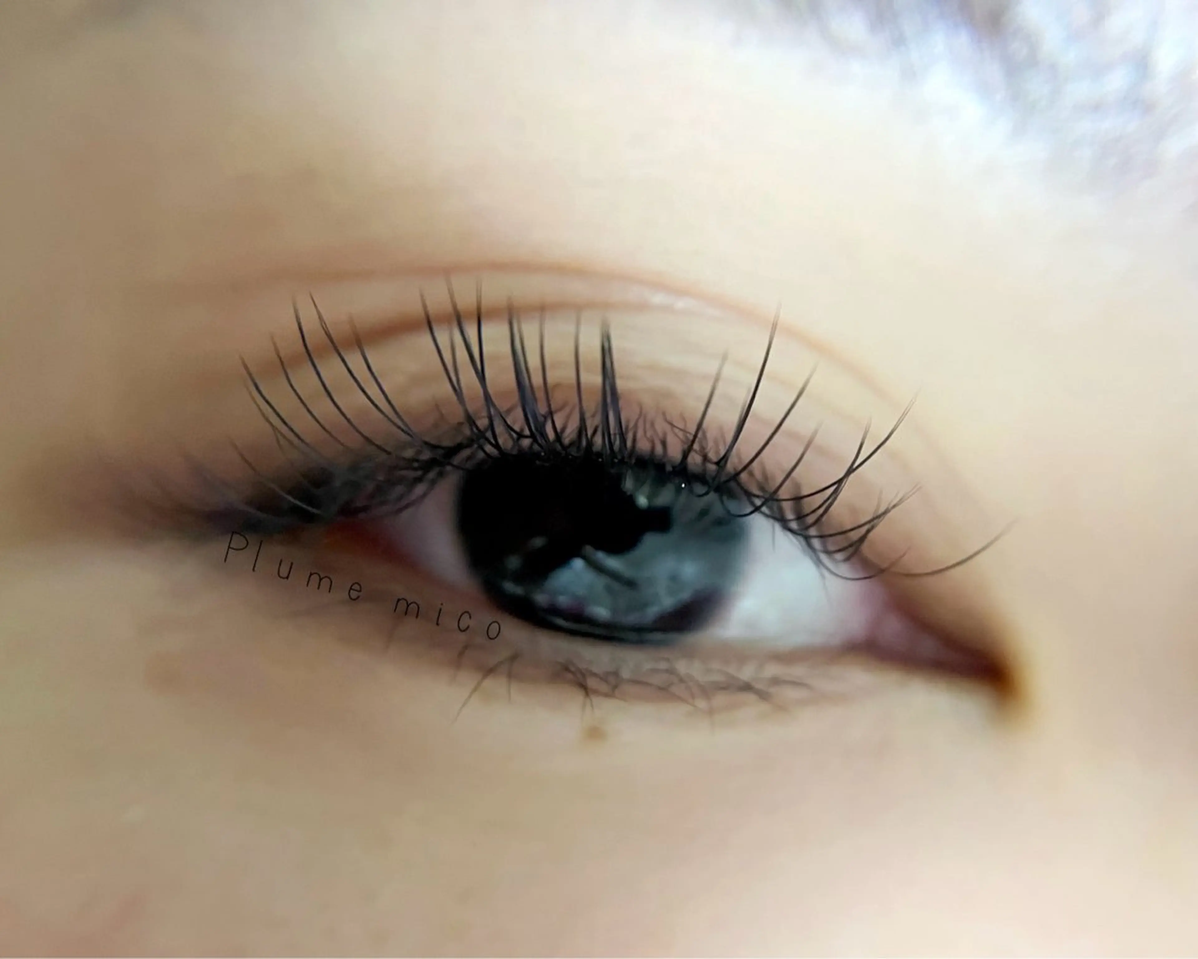 マツエク・マツパ マツエク Plume micoのマツエク・マツパデザイン