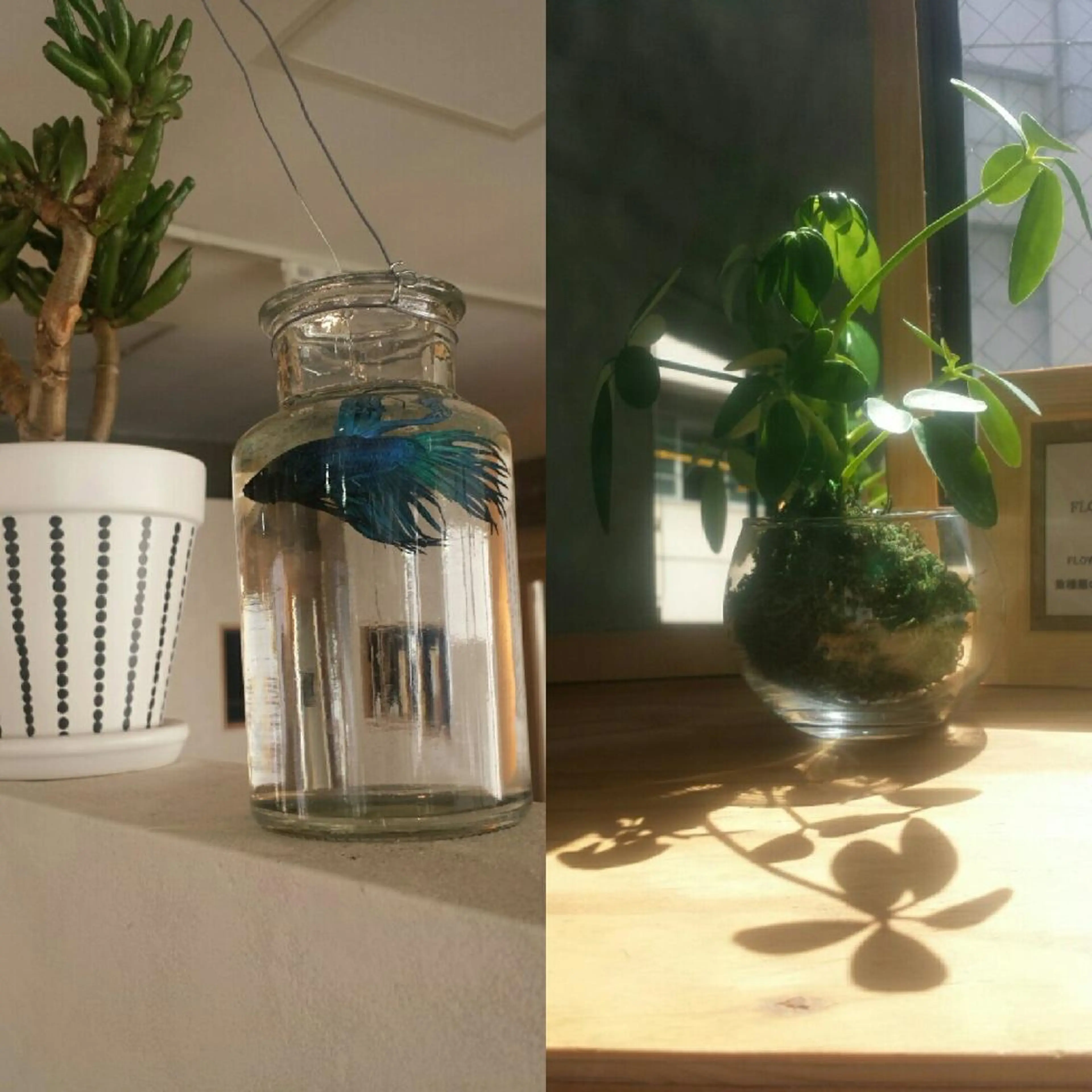 🔳髪質改善🔳 岡本陽のヘアスタイル