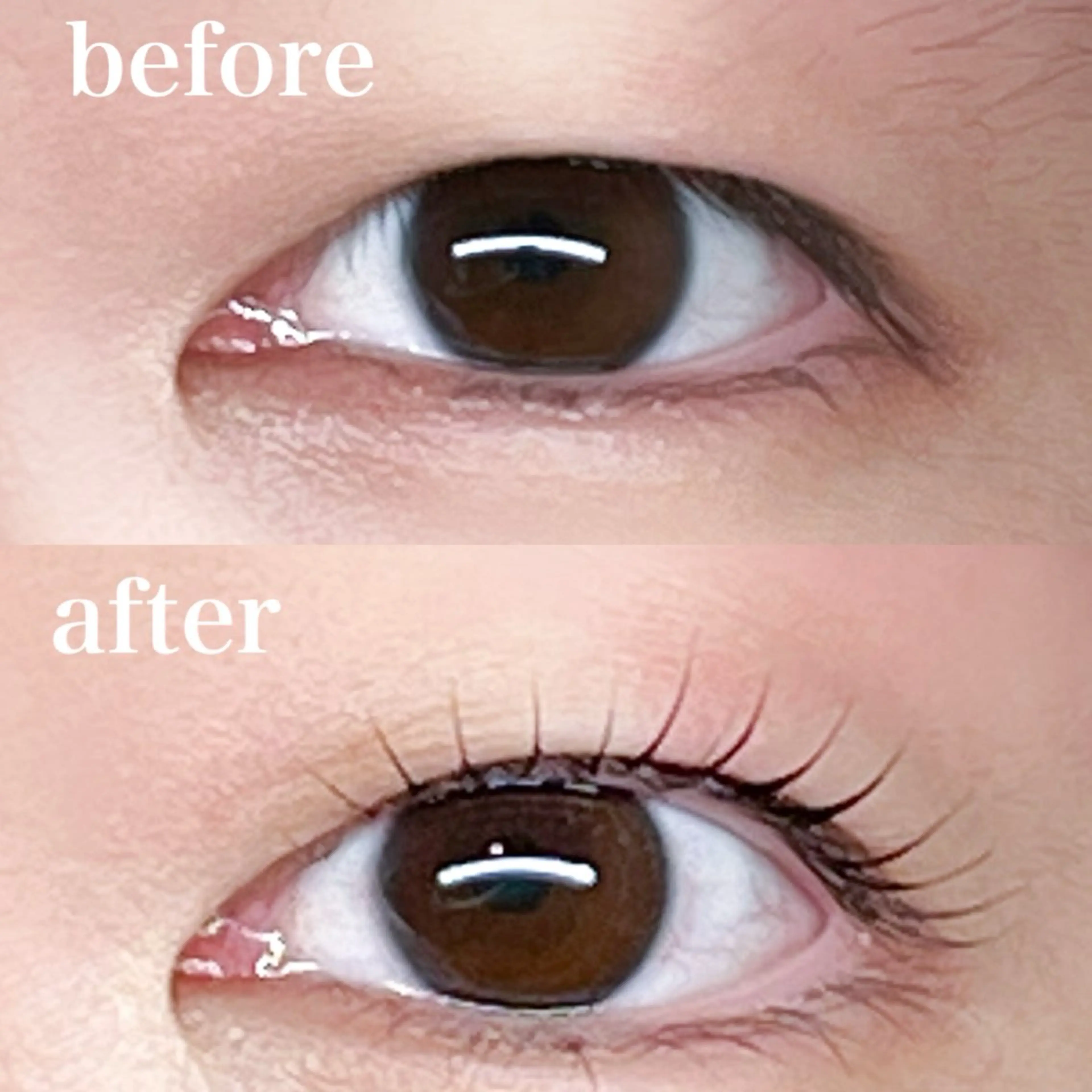 マツエク・マツパ 束感まつ毛 仙台/束感まつげ💐 🎀Mizukiの眉毛・アイブロウイメージ