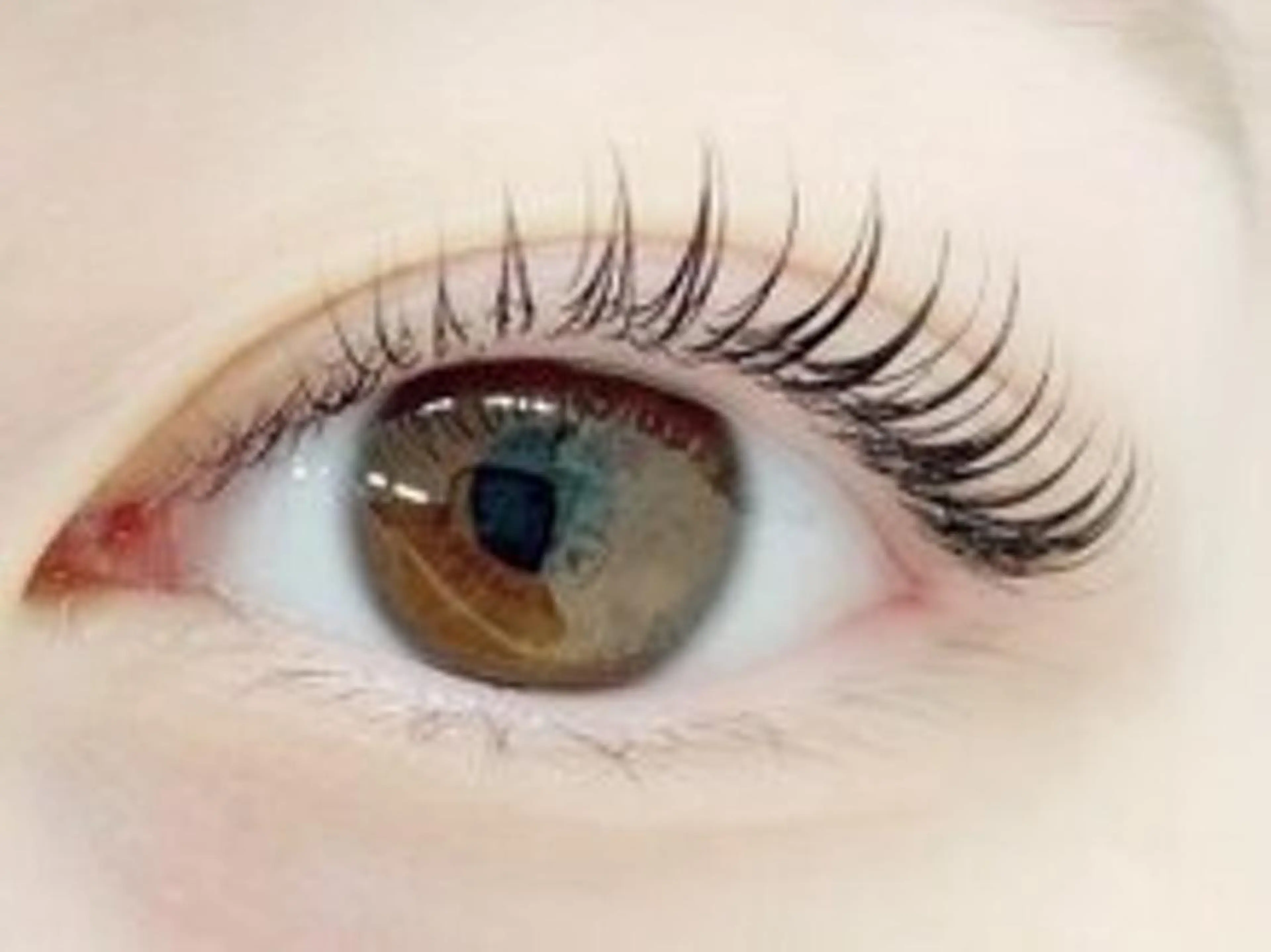 マツエク・マツパ ベリーラッシュ 渋谷公園通り店のマツエク・マツパデザイン