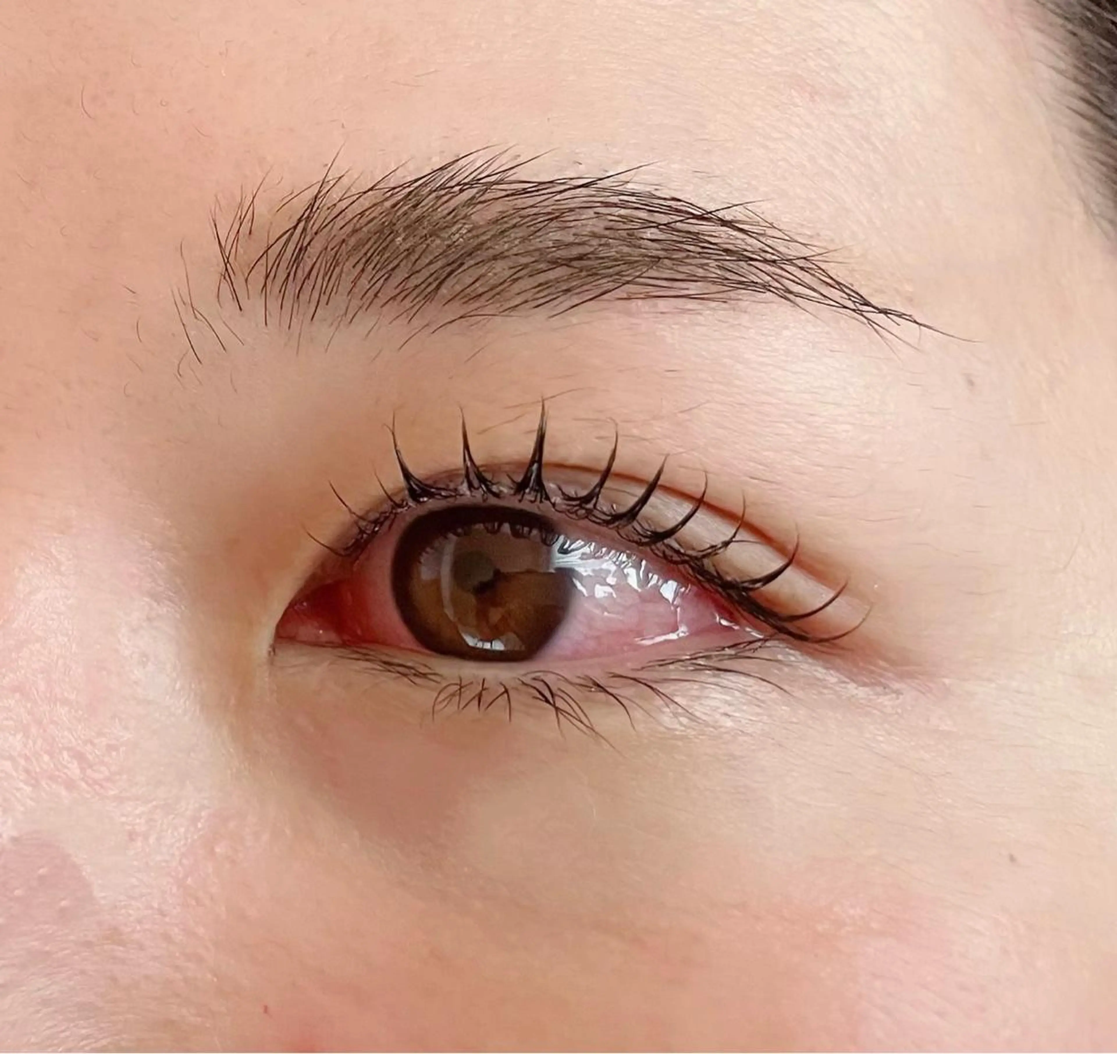 <学割♦︎22歳以下>次世代まつ毛パーマの写真