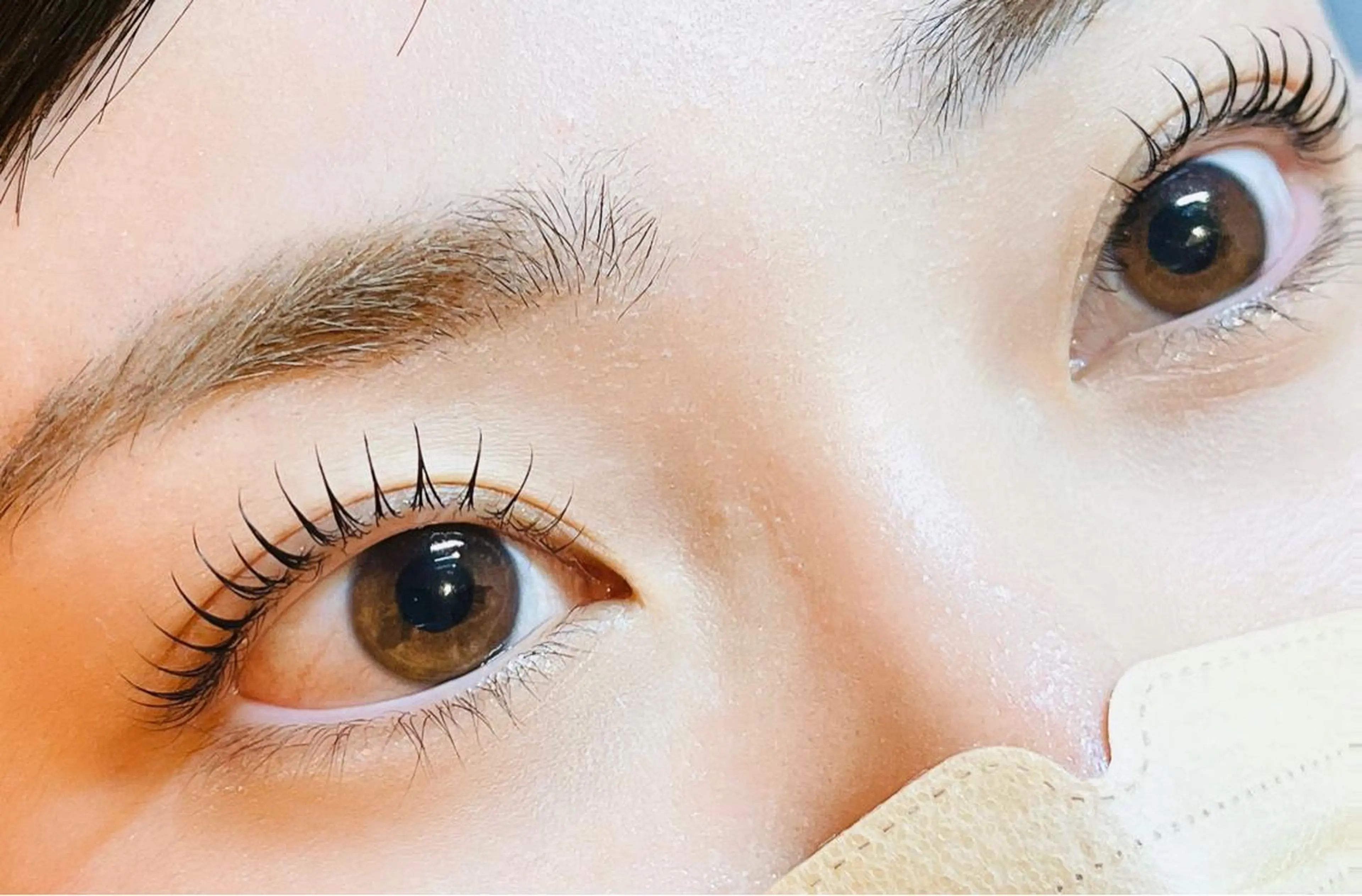 💛【パリジェンヌラッシュリフトorまつ毛パーマ (上) 】オフなし💛の写真