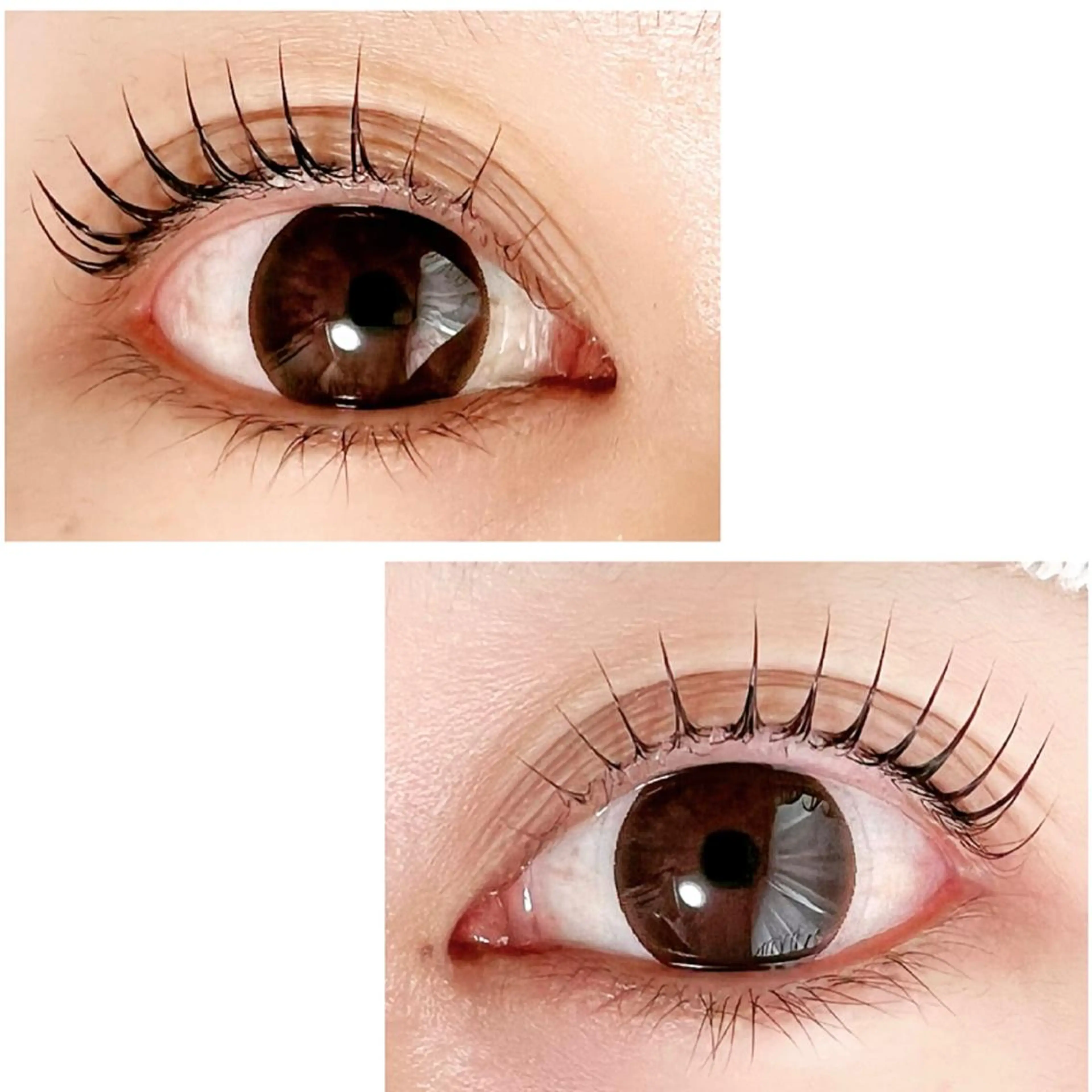 マツエク・マツパ Adorer(アドレ)所属・Adorer 🍀アドレ🍀のマツエク・マツパデザイン