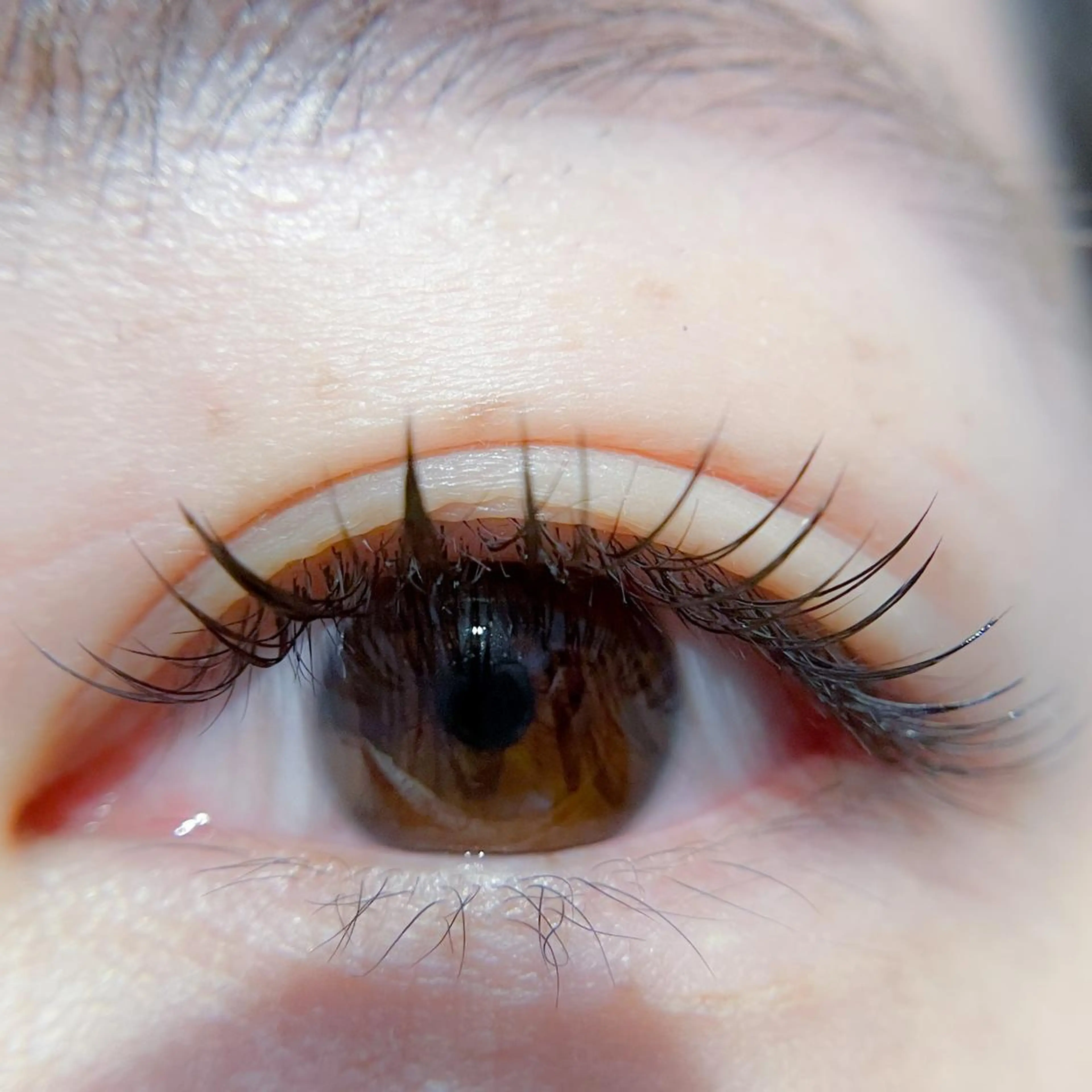 マツエク・マツパ 飯田/Tomo's HairDesignのマツエク・マツパデザイン