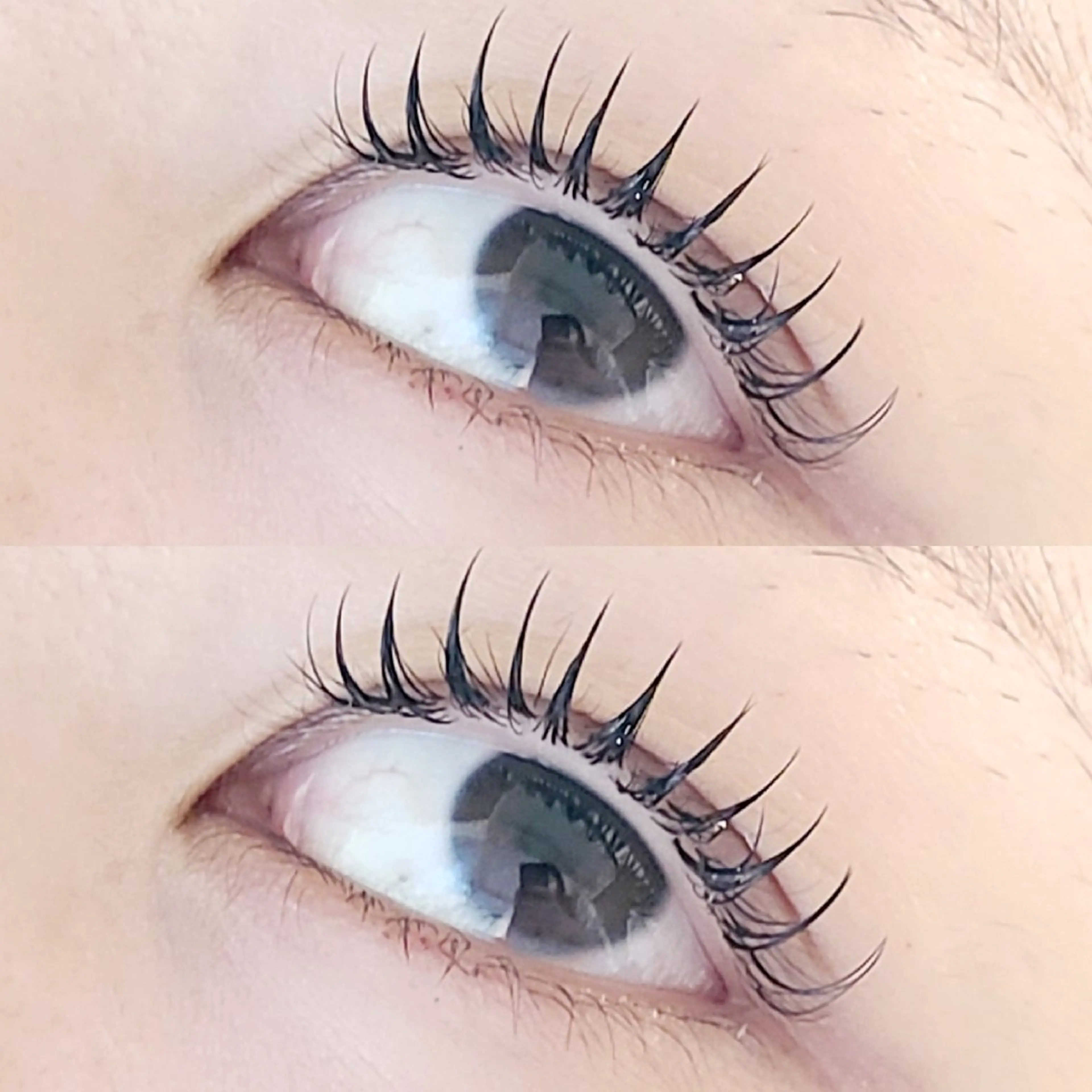 マツエク・マツパ マツエク セレビアイ/ ISHIIのマツエク・マツパデザイン