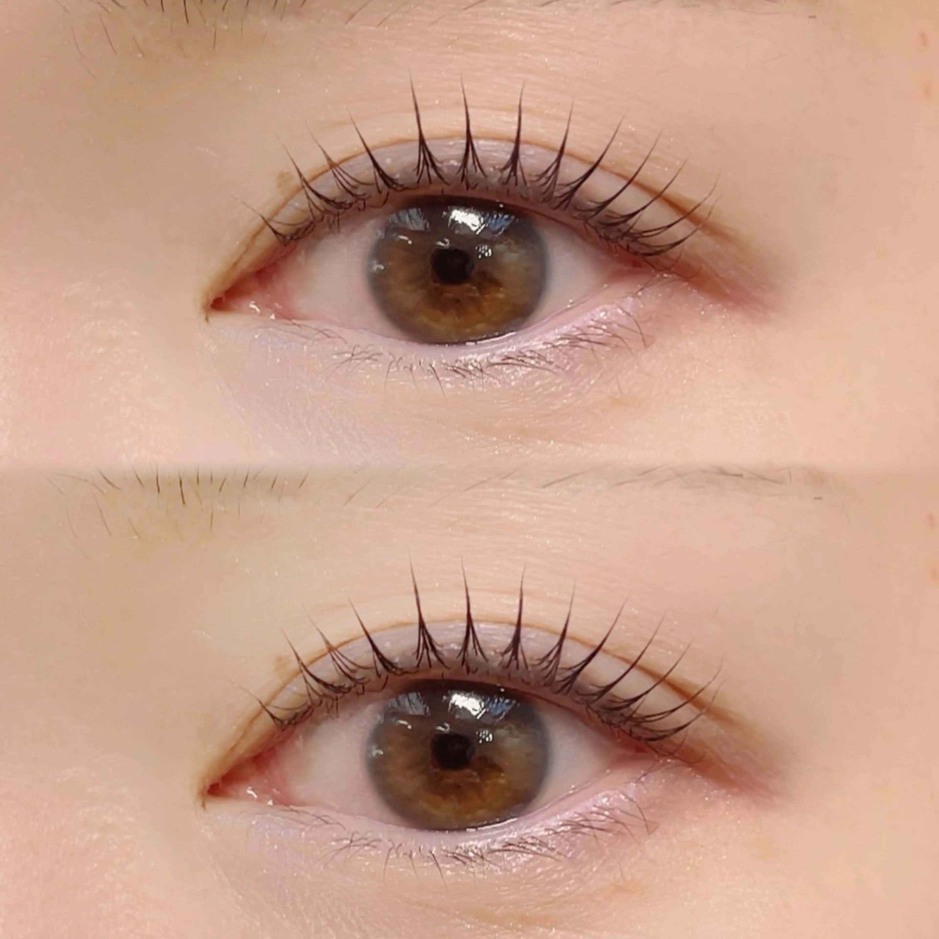 マツエク・マツパ パリジェンヌラッシュリフト 下北沢🩰 YUKIKO ☆のマツエク・マツパデザイン