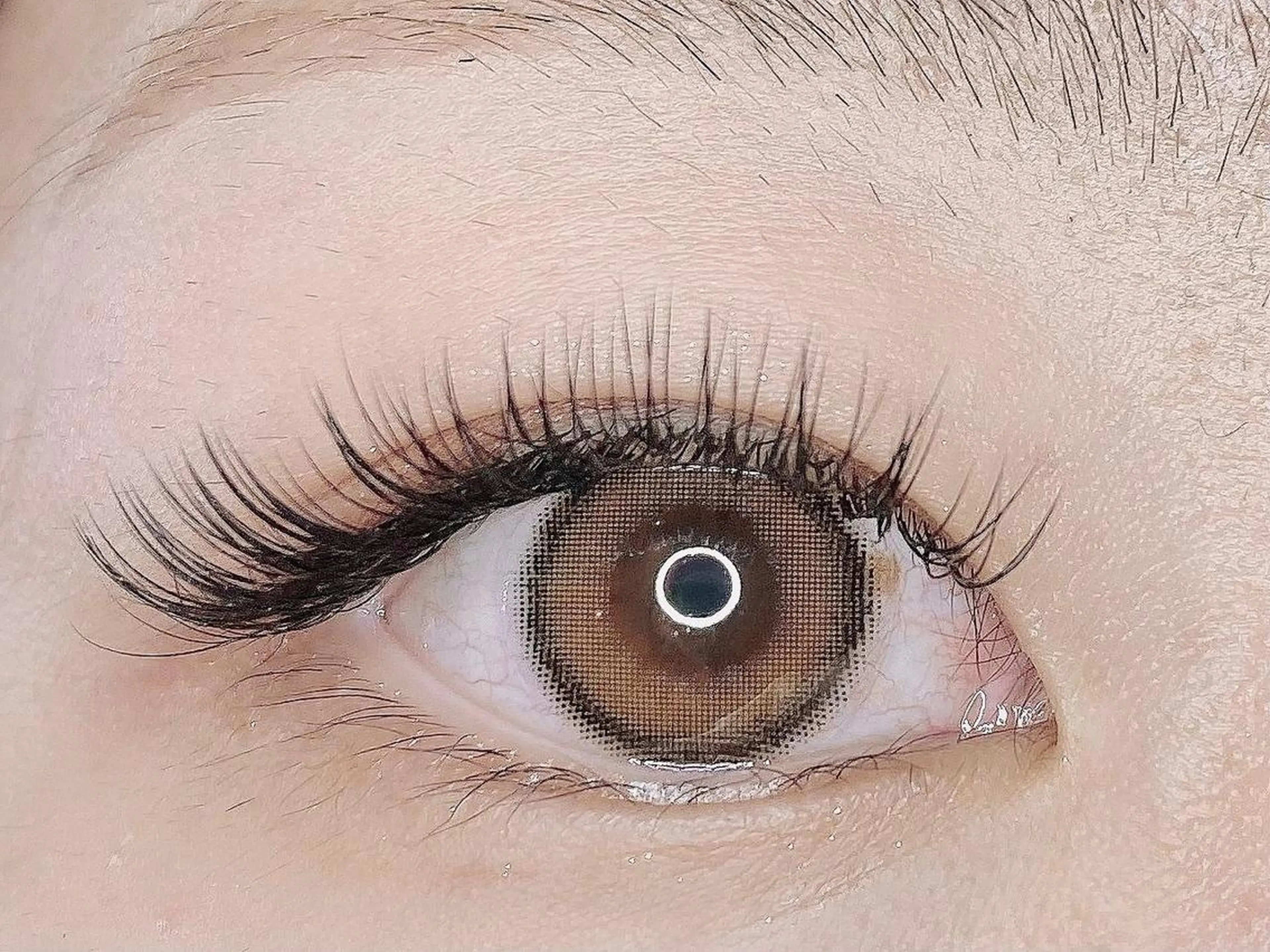 フラットラッシュ120本の写真