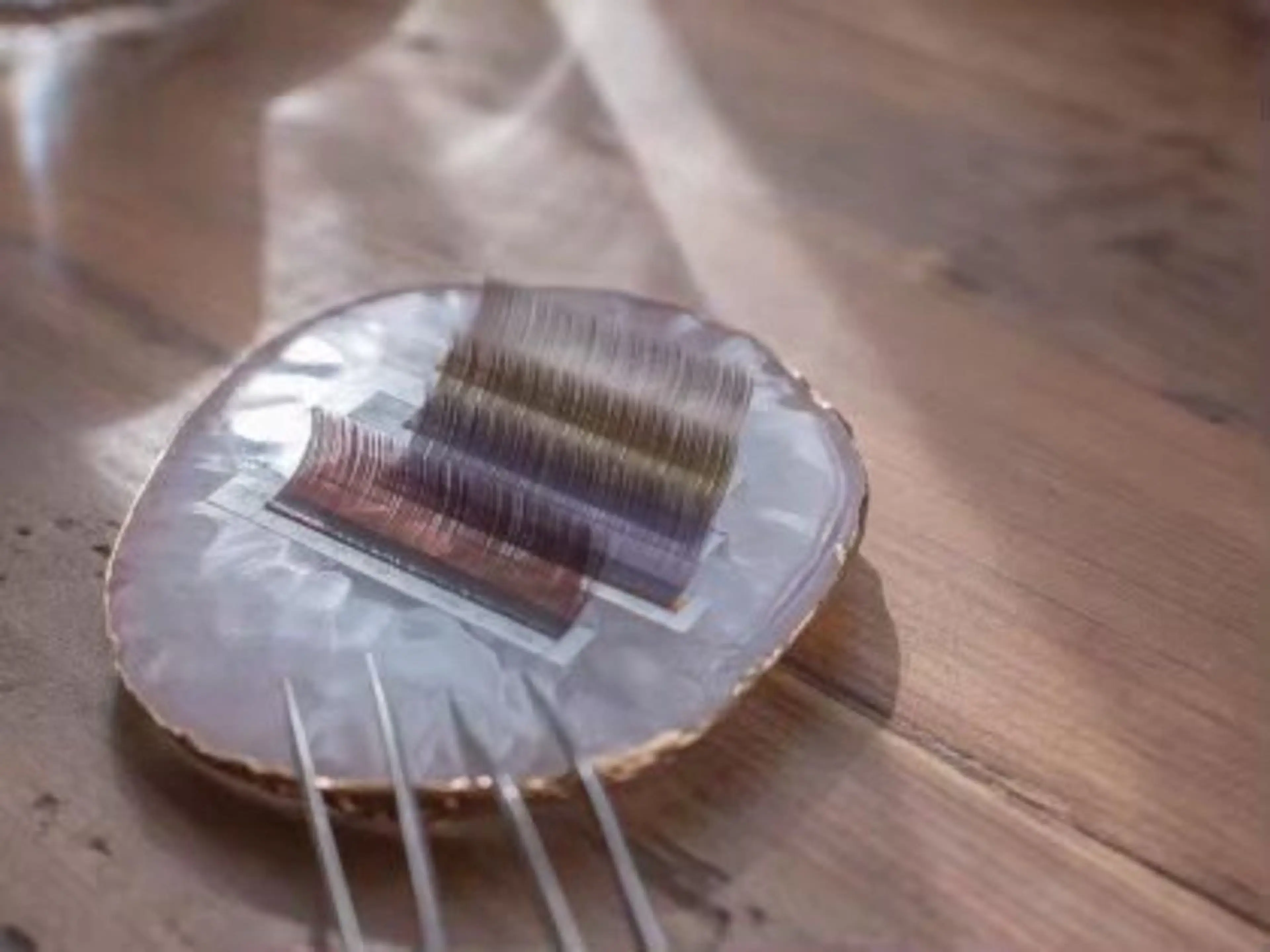 セーブル100本の写真