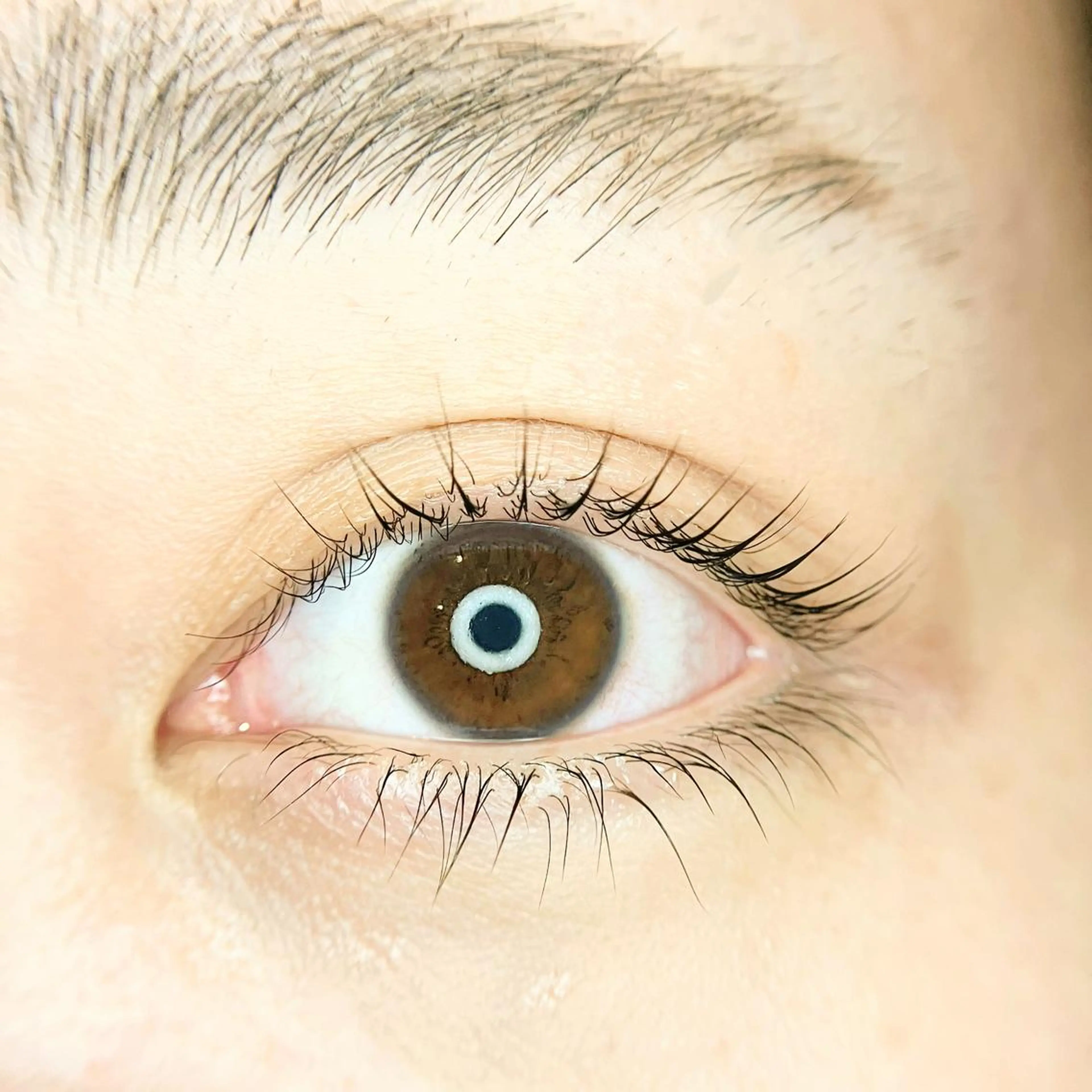 マツエク・マツパ マツパ 【 Vif 】 SHIORIのマツエク・マツパデザイン