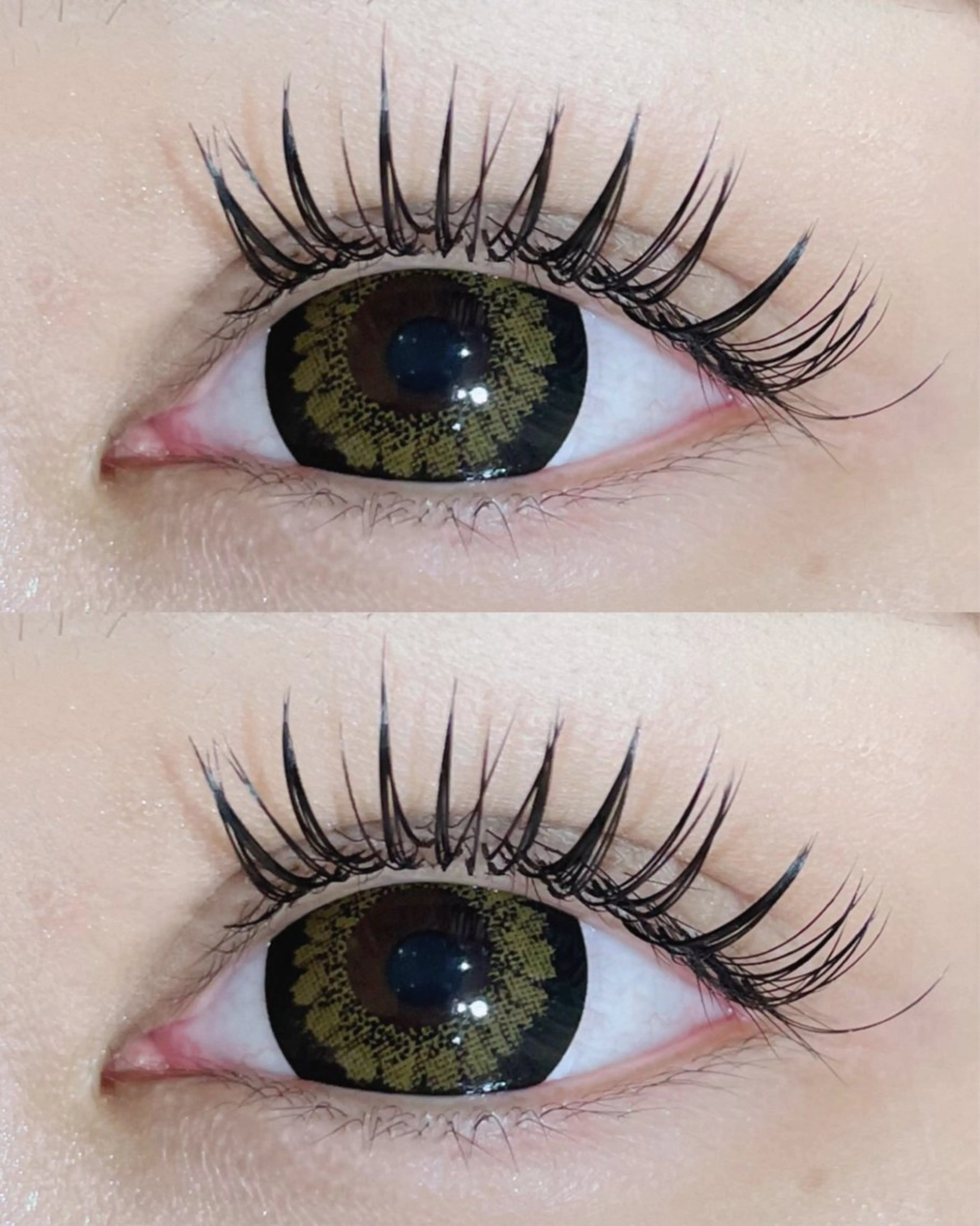 人気No3☆新規限定★☆新メニュー☆フラットロックラッシュ80束(160本)オフ込みの写真