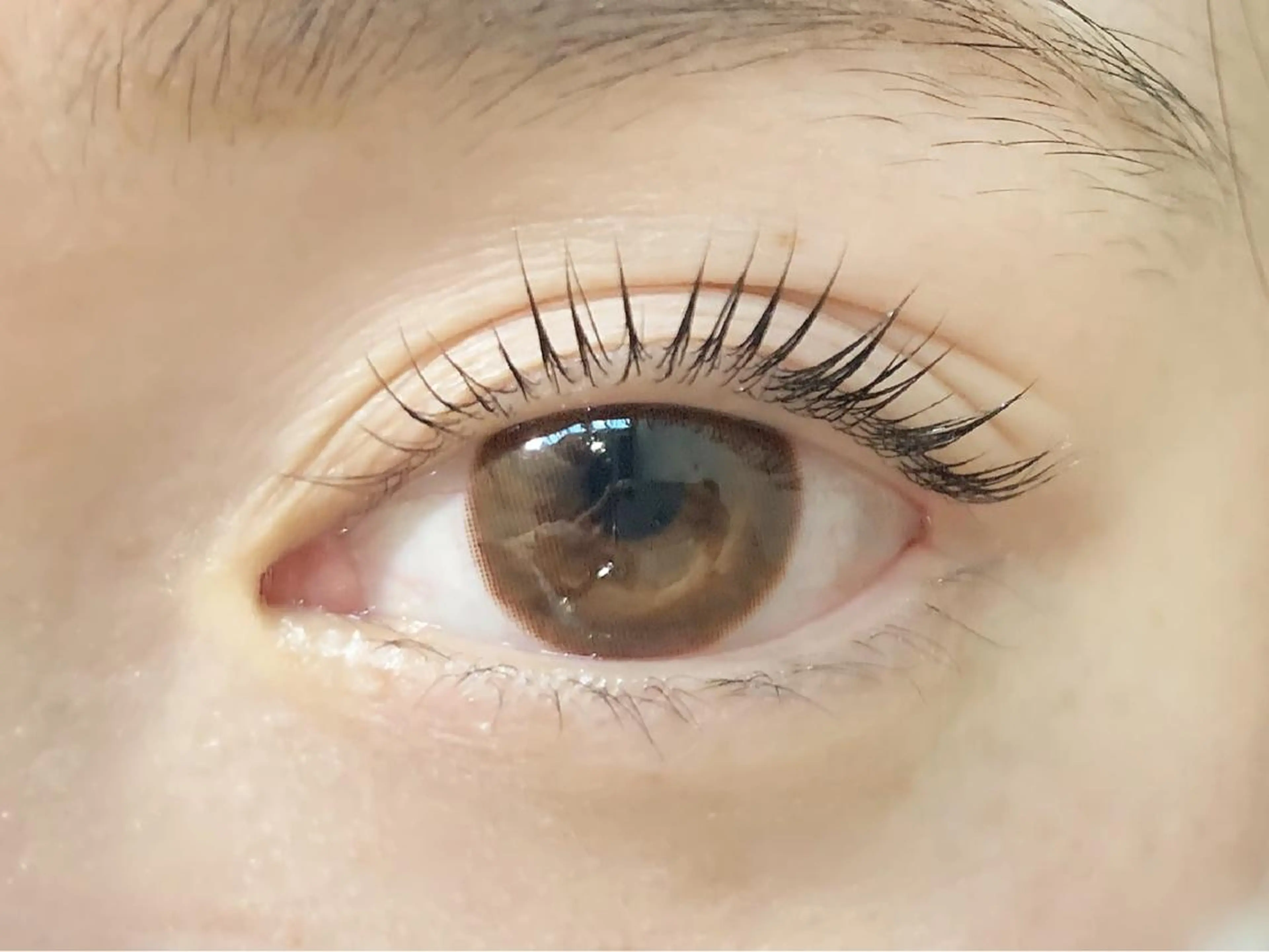 マツエク・マツパ パリジェンヌラッシュリフト atelier...m所属・NUURA /　yuiの眉毛・アイブロウイメージ