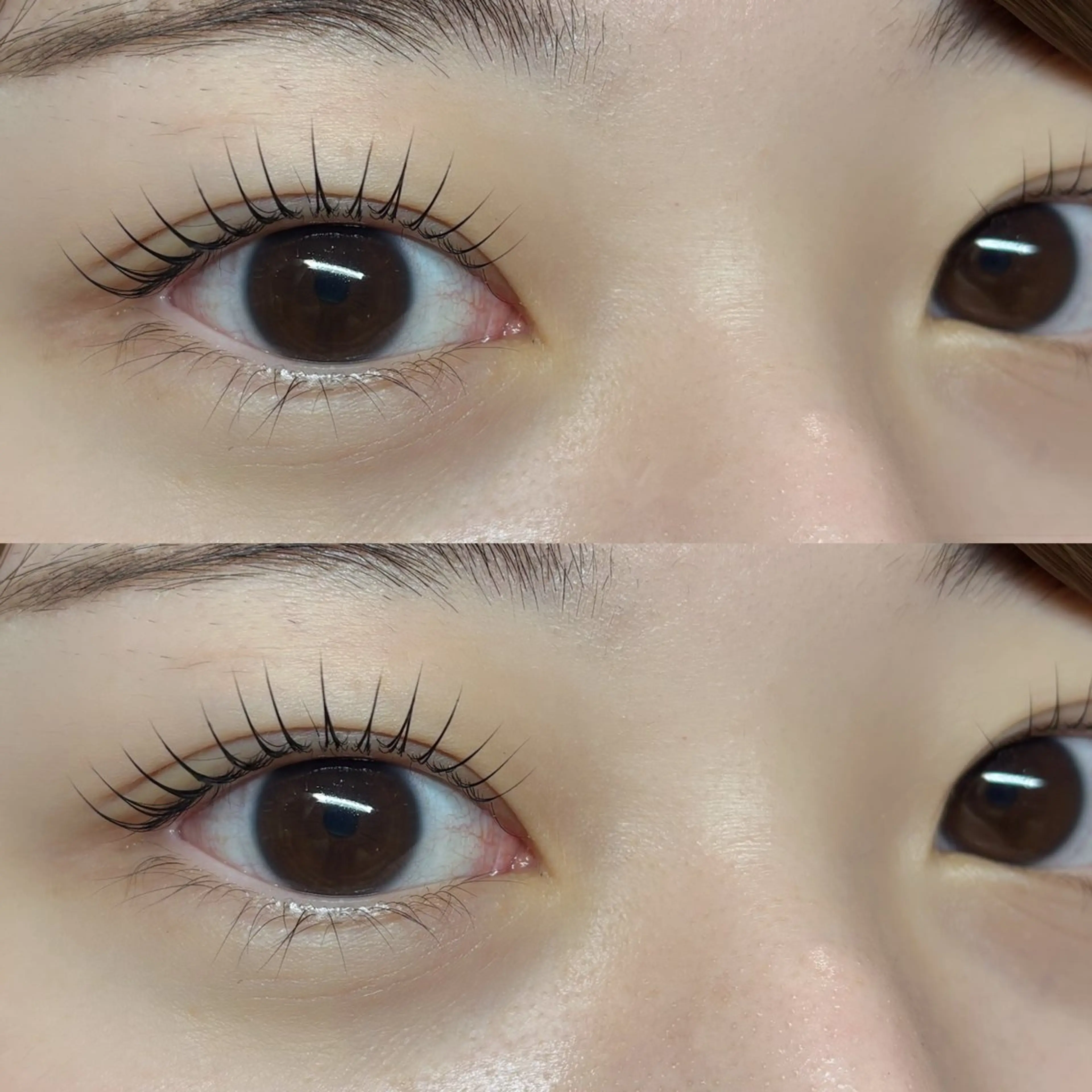 【ご新規様限定‼︎】似合わせまつ毛パーマ🩵🫧の写真