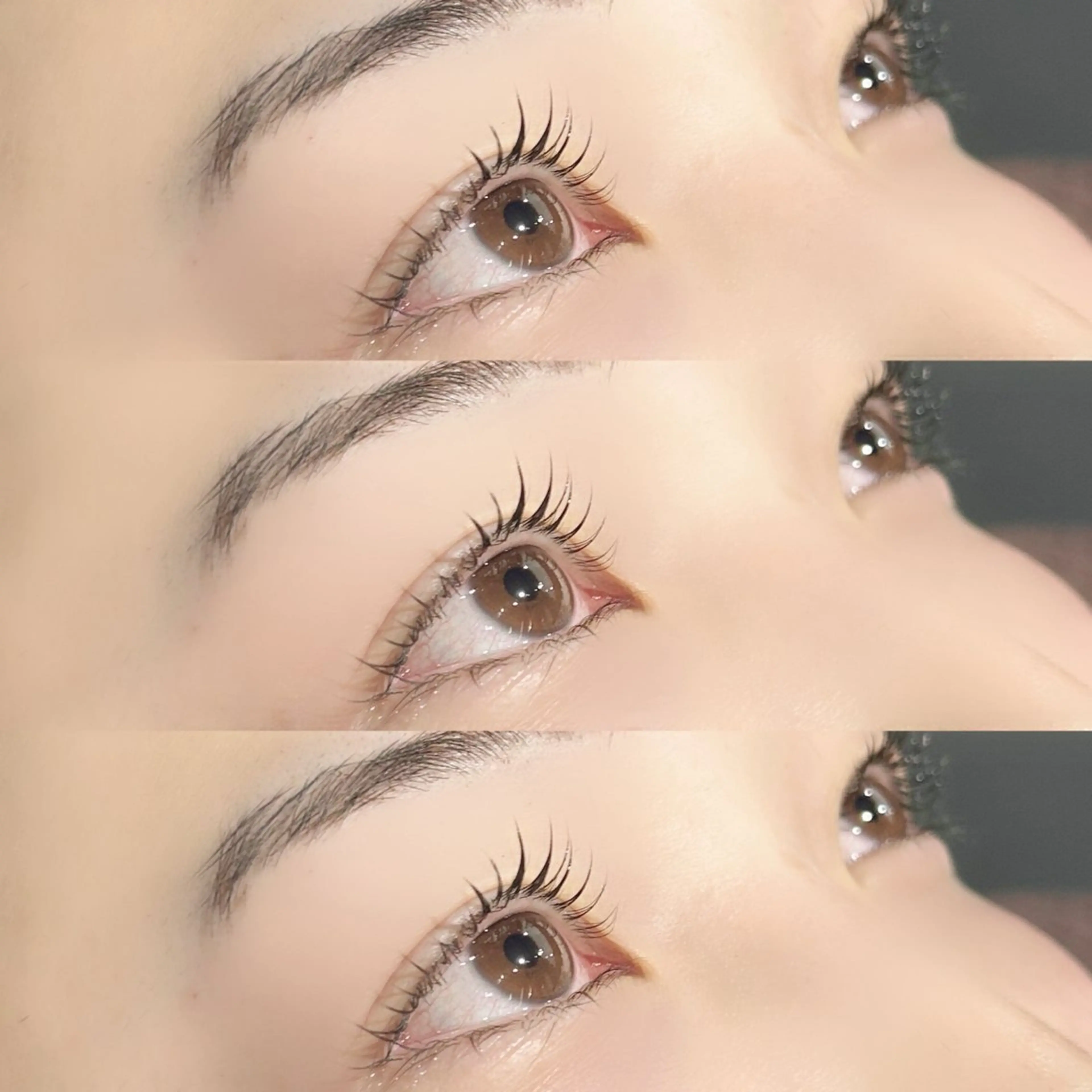 パリジェンヌ/メーテル/ラッシュリフト+コーティング仕上げの写真