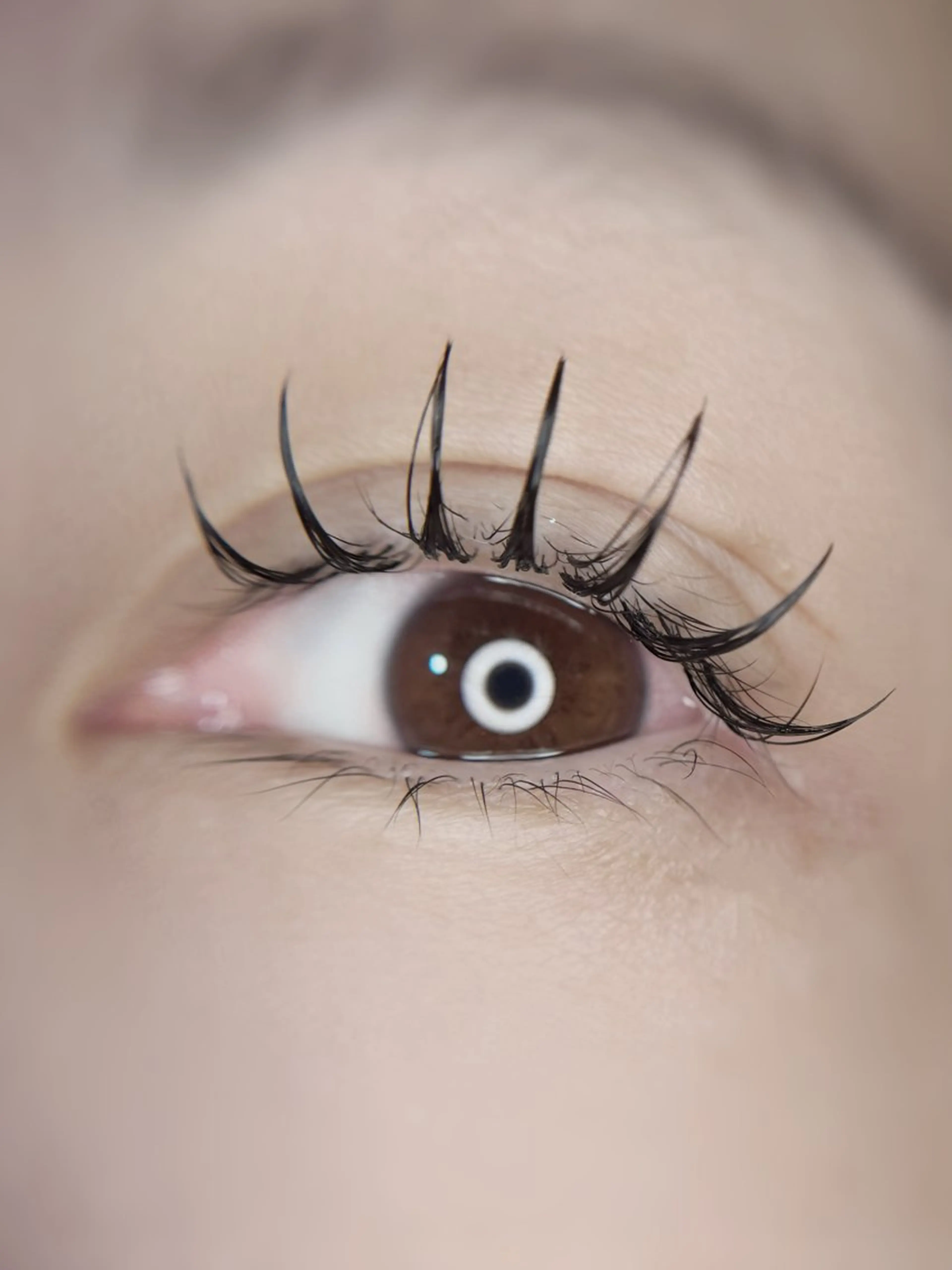 🌟マツエク🌟ダブルフラットラッシュ 80束(LEDに変更+¥1,000)の写真