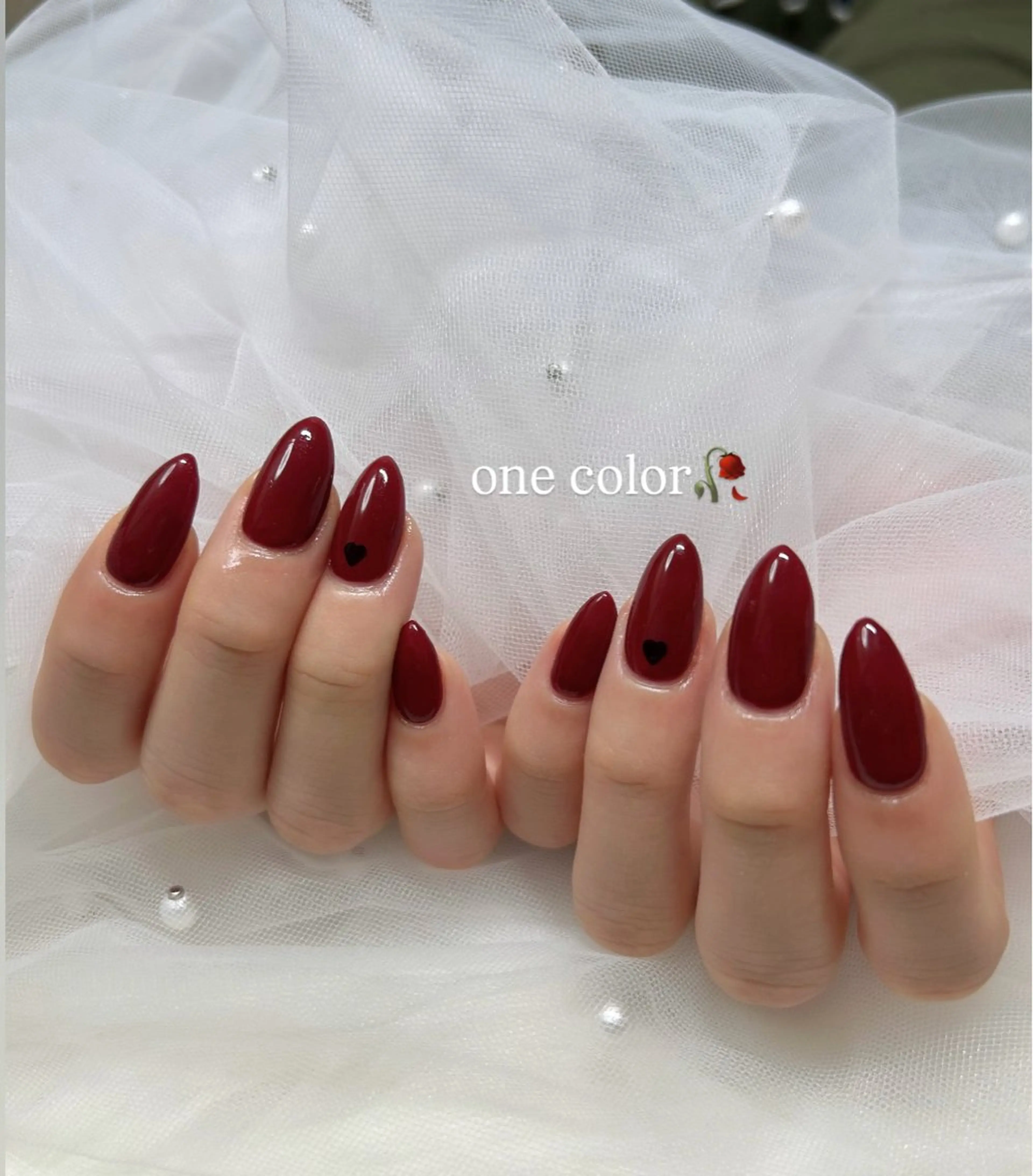 ワンカラーの写真