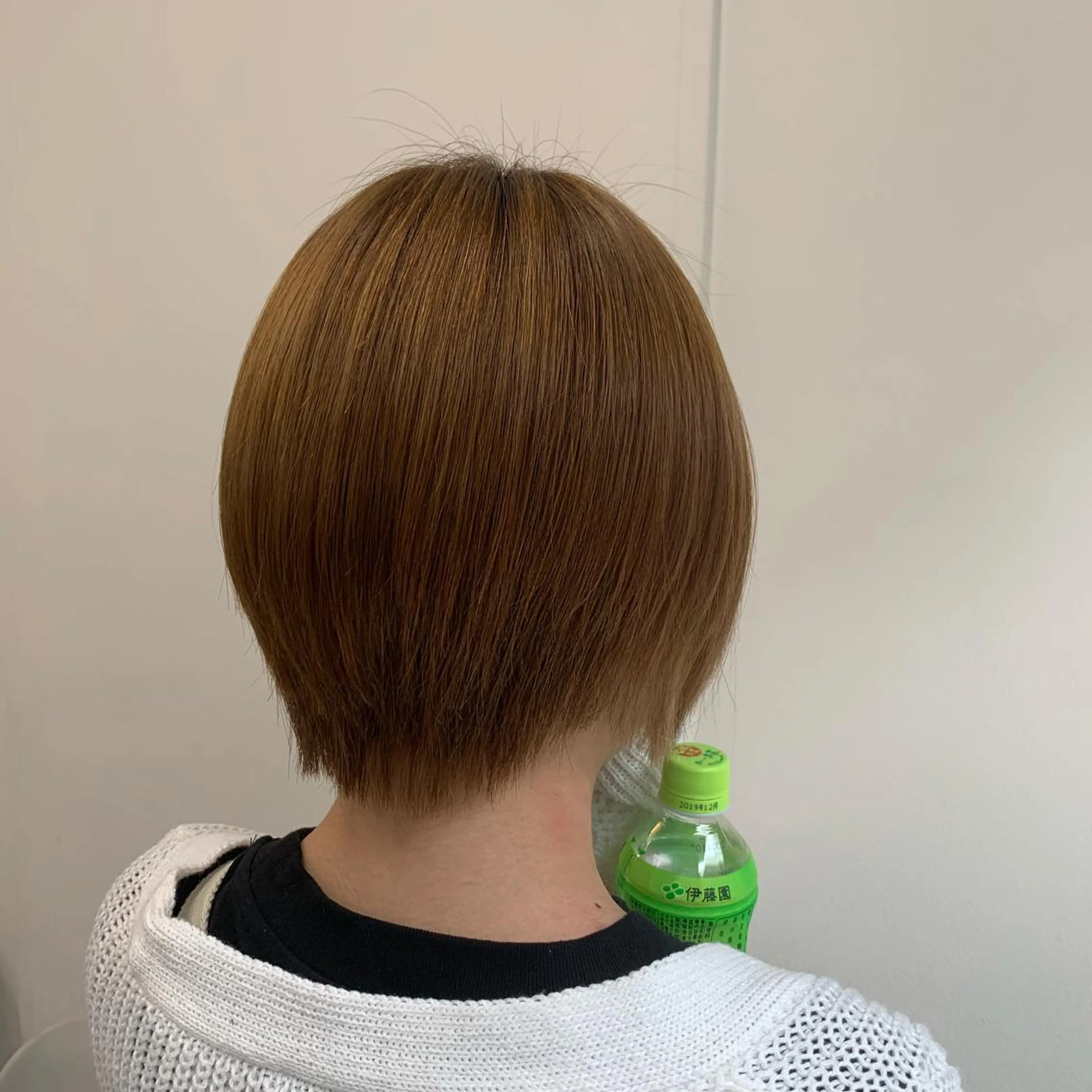 ショート カラー ベージュカラー 鎌倉 圭太のヘアスタイル