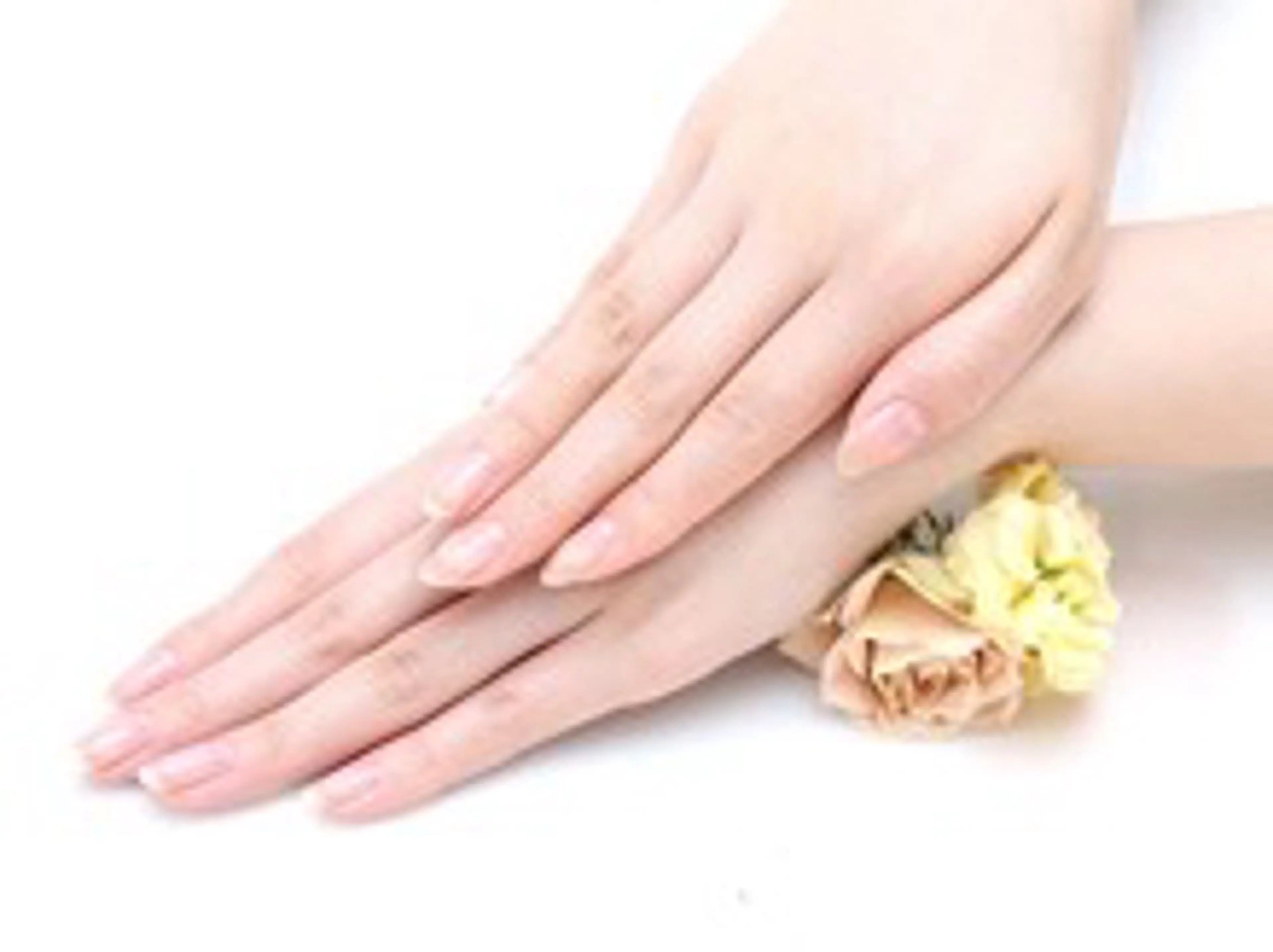 【オフなし】ハンドウォーターケアの写真