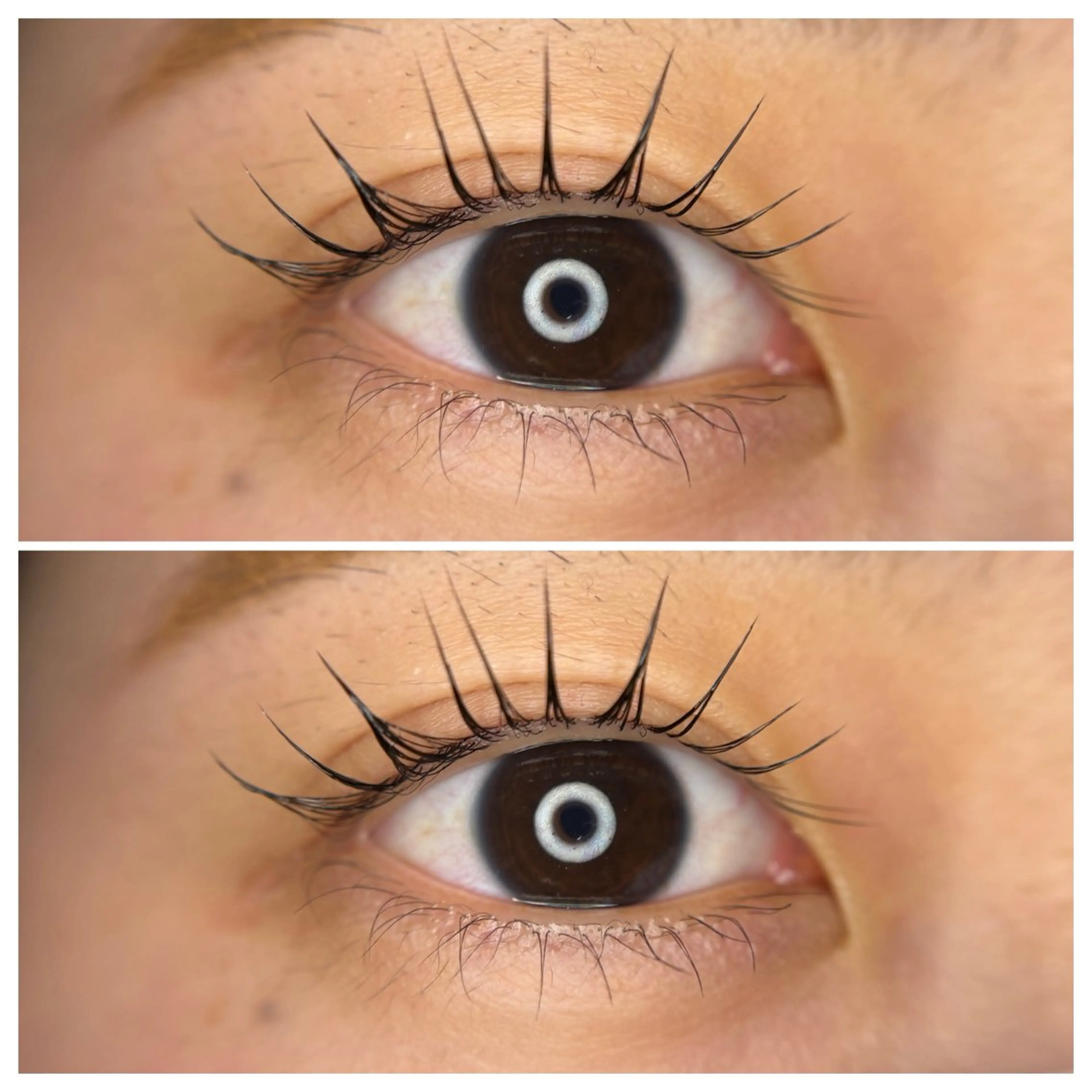 マツエク・マツパ パリジェンヌラッシュリフト 🦋MaaZlash 南流山FUKA🤍のマツエク・マツパデザイン