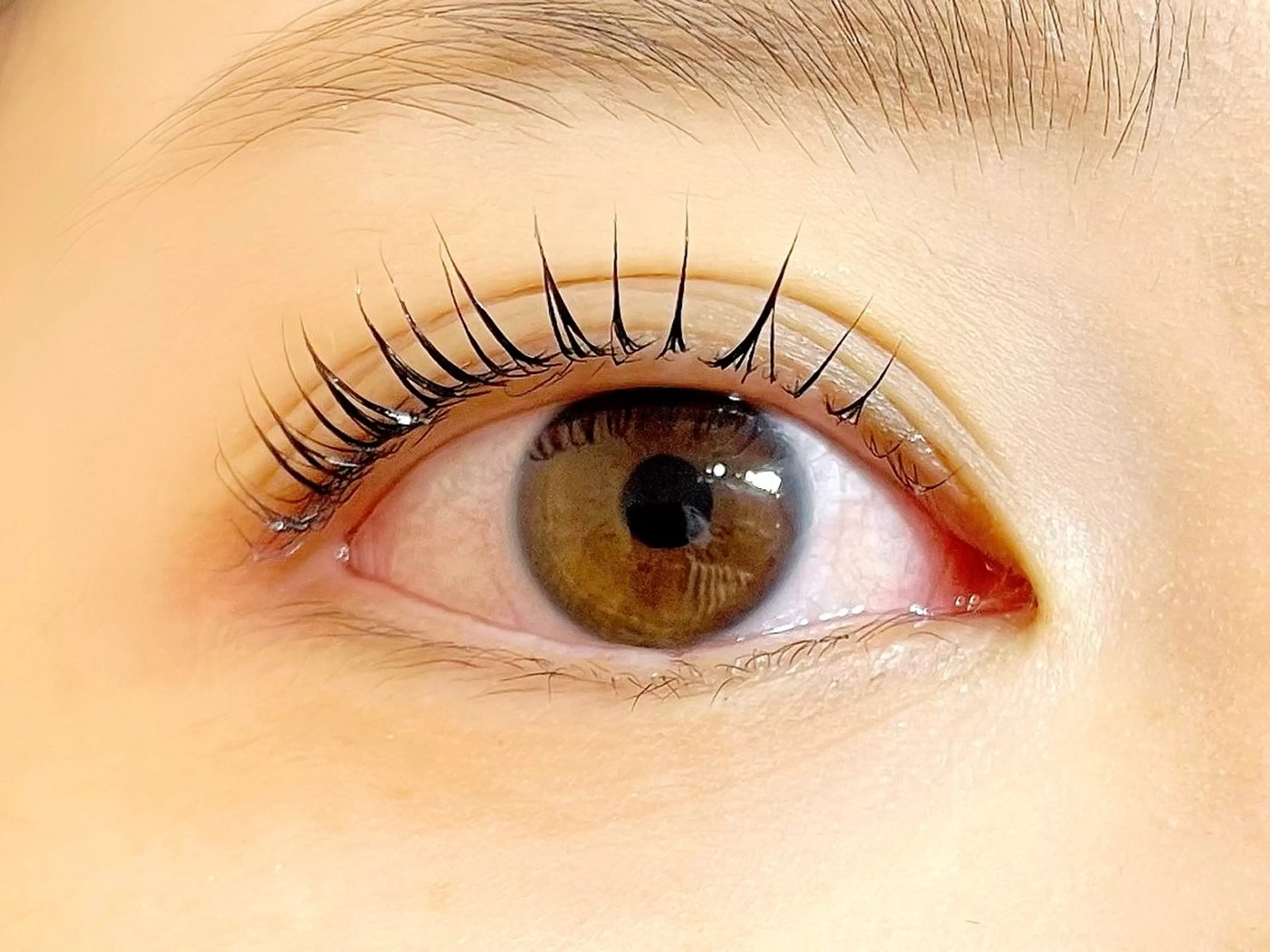 マツエク・マツパ Honey&Miel YUI🐱🐾のマツエク・マツパデザイン