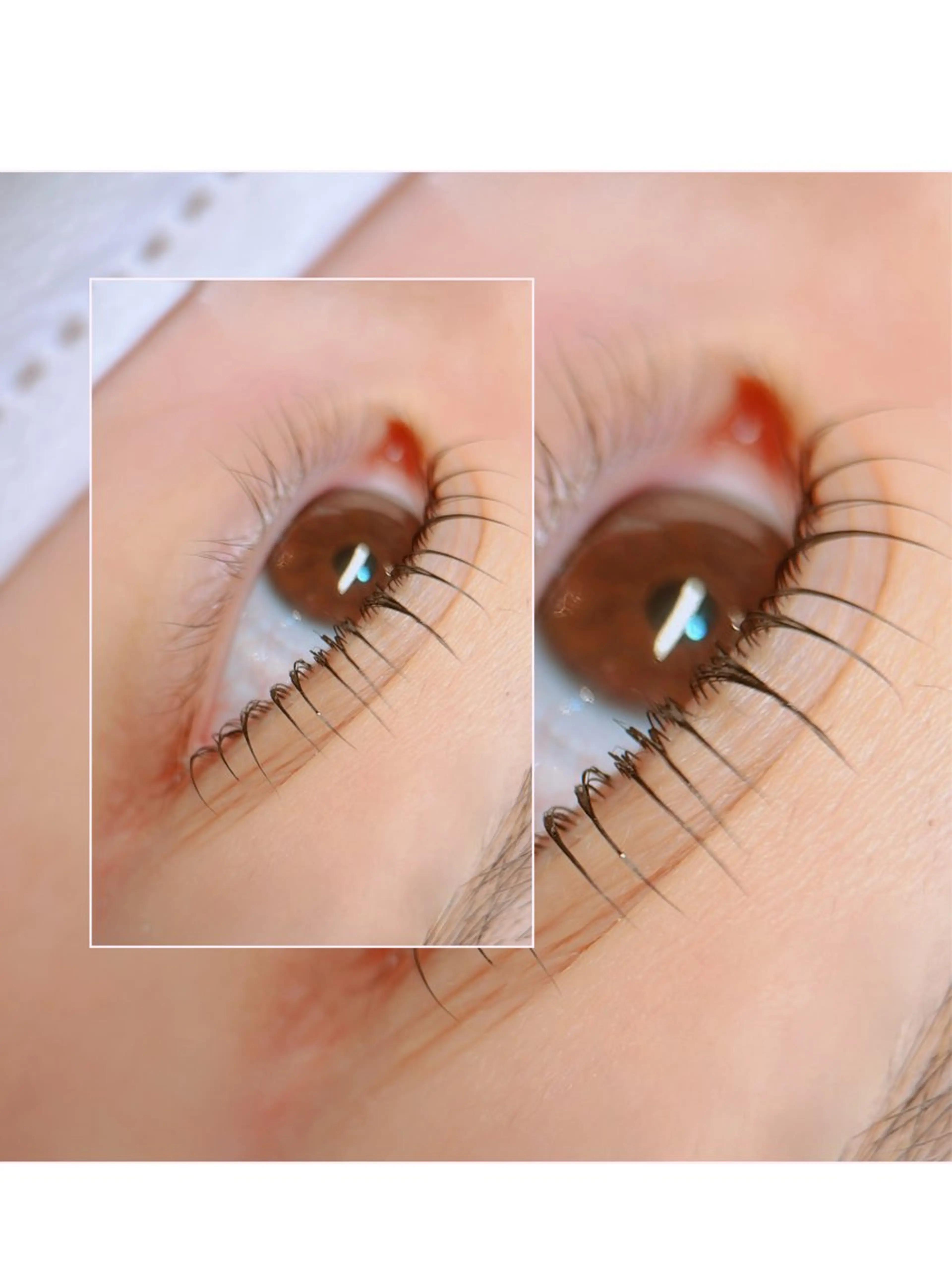【平日限定👀】似合わせまつげパーマ(美容液コーティング付) ※オフ不可の写真