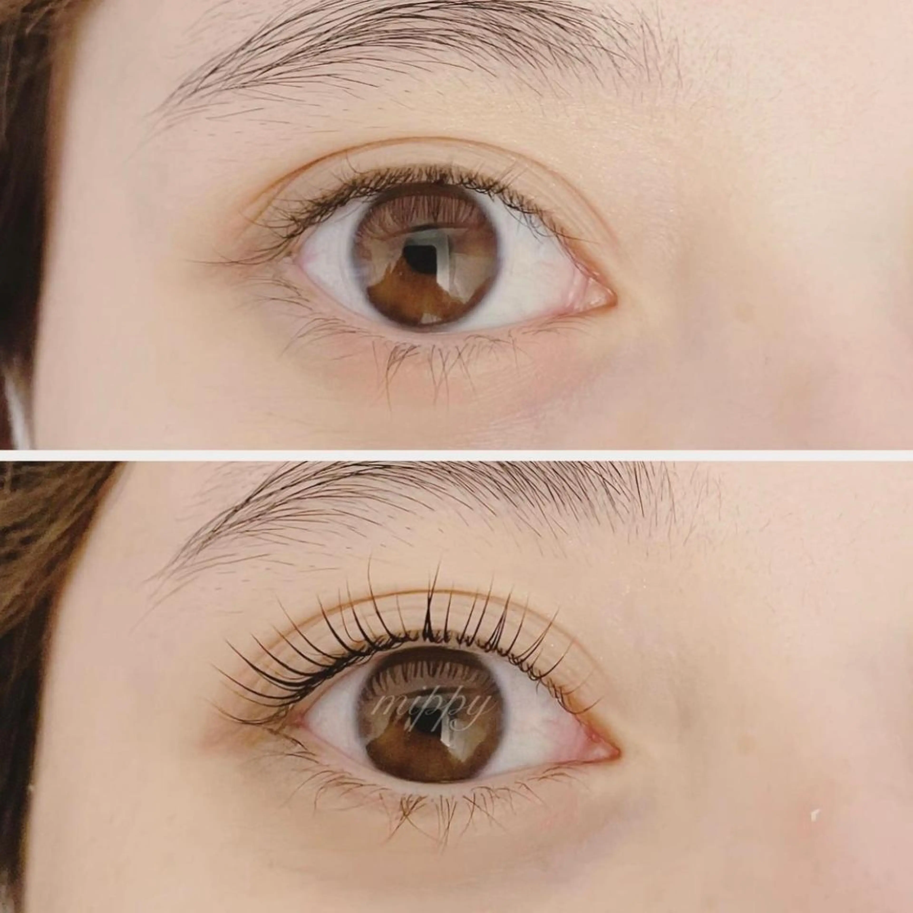 マツエク・マツパ パリジェンヌラッシュリフト ｍｉｐｐｙ 🪽のマツエク・マツパデザイン