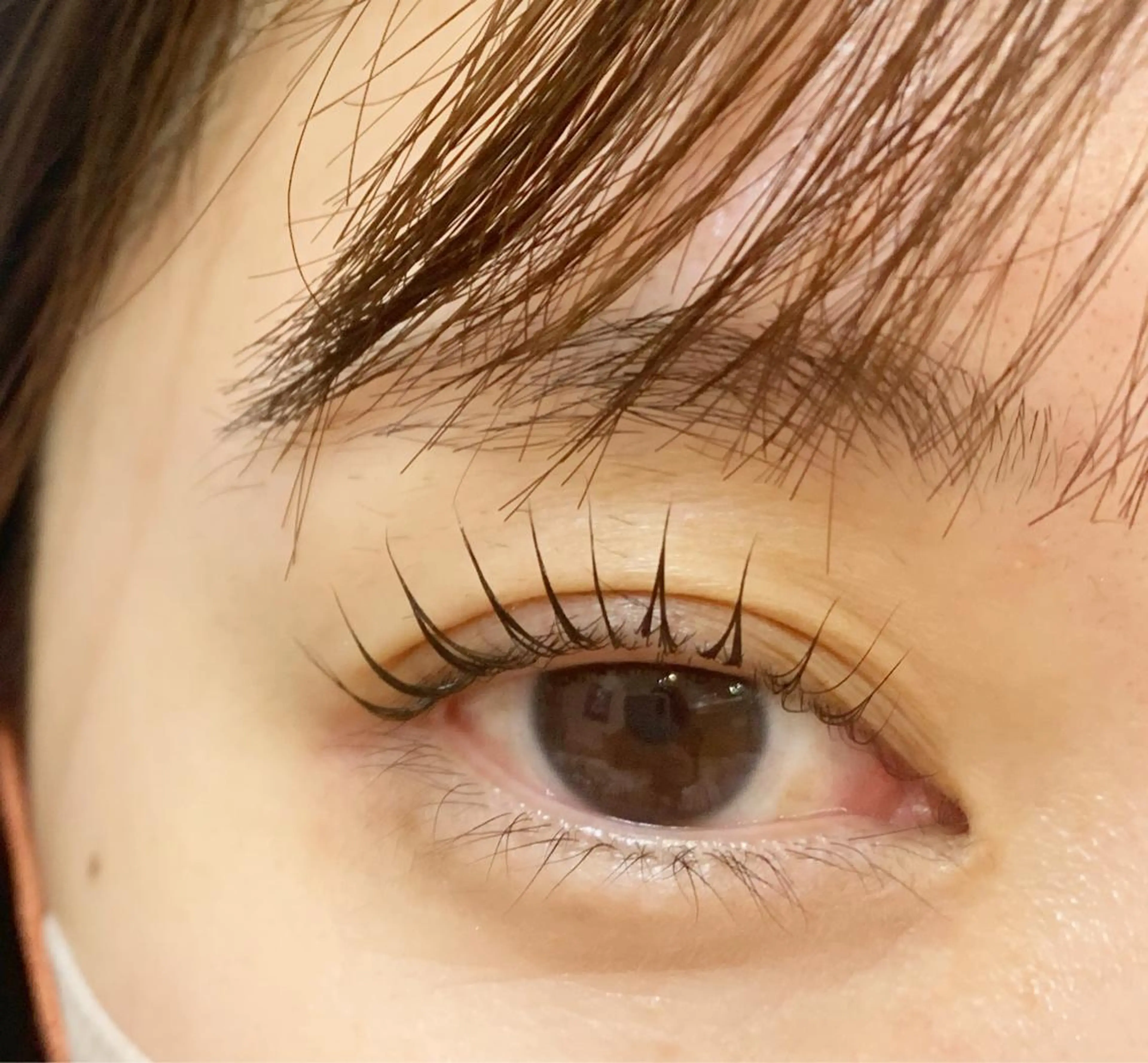 ミニモ限定🤍ケラチン付きパリジェンヌラッシュリフト☆お支払いは現金にてお願いいたします。の写真