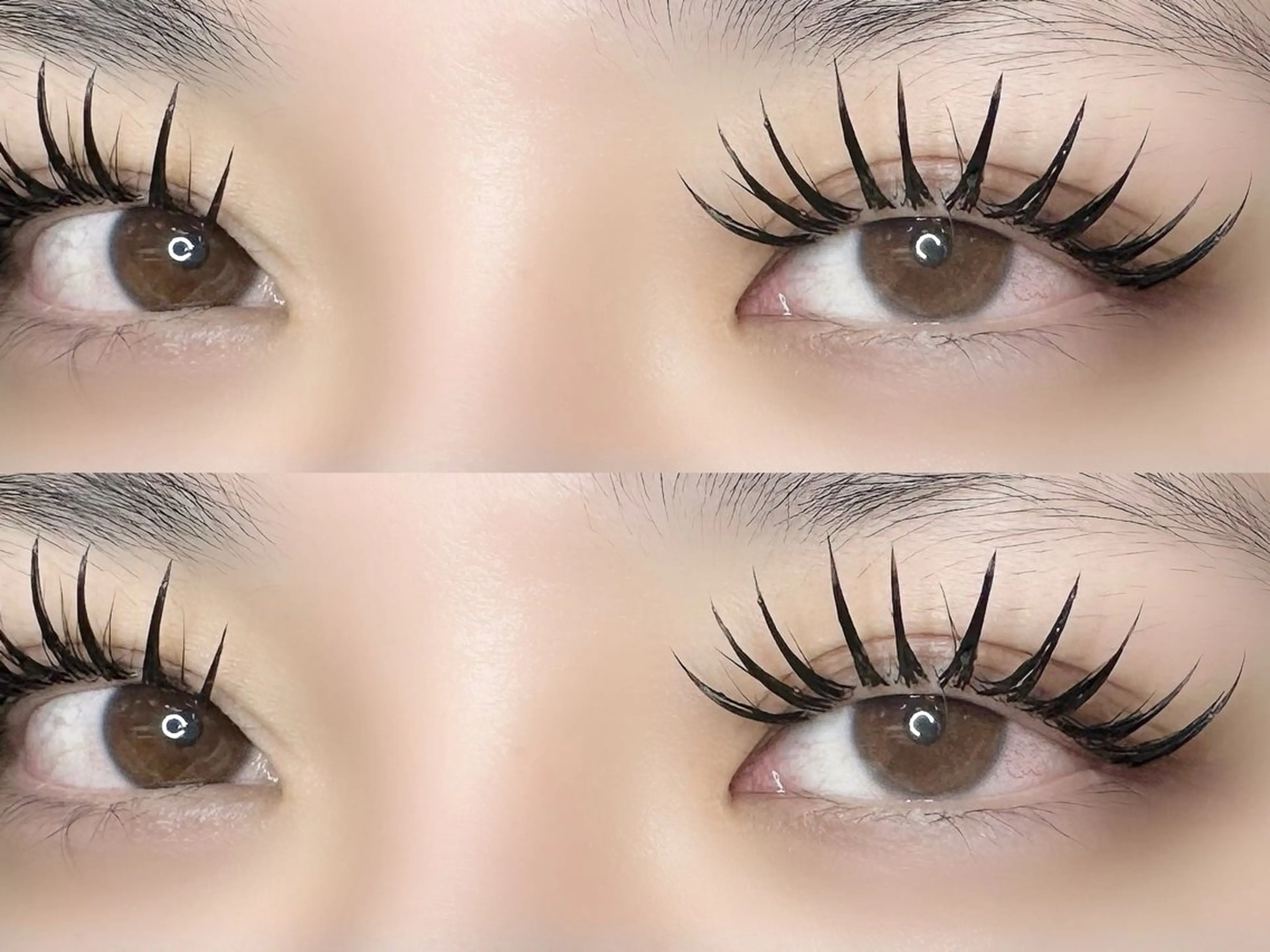 💚新規💚パリエク80束【パリジェンヌ×バインドロック80束】オフ込み⭐️本数変更可能✨の写真