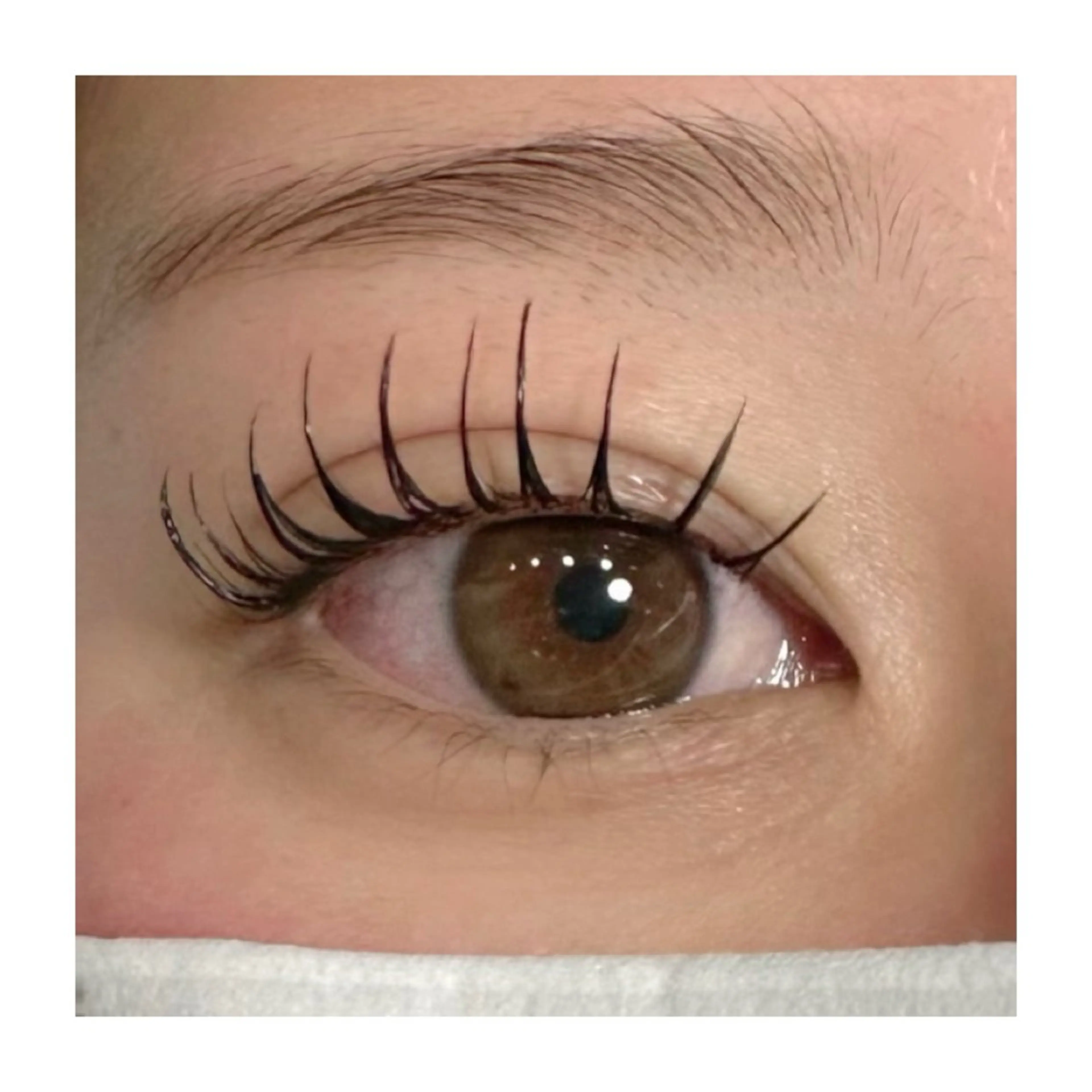 マツエク・マツパ まつげ屋さんLAPU AYAKAのマツエク・マツパデザイン