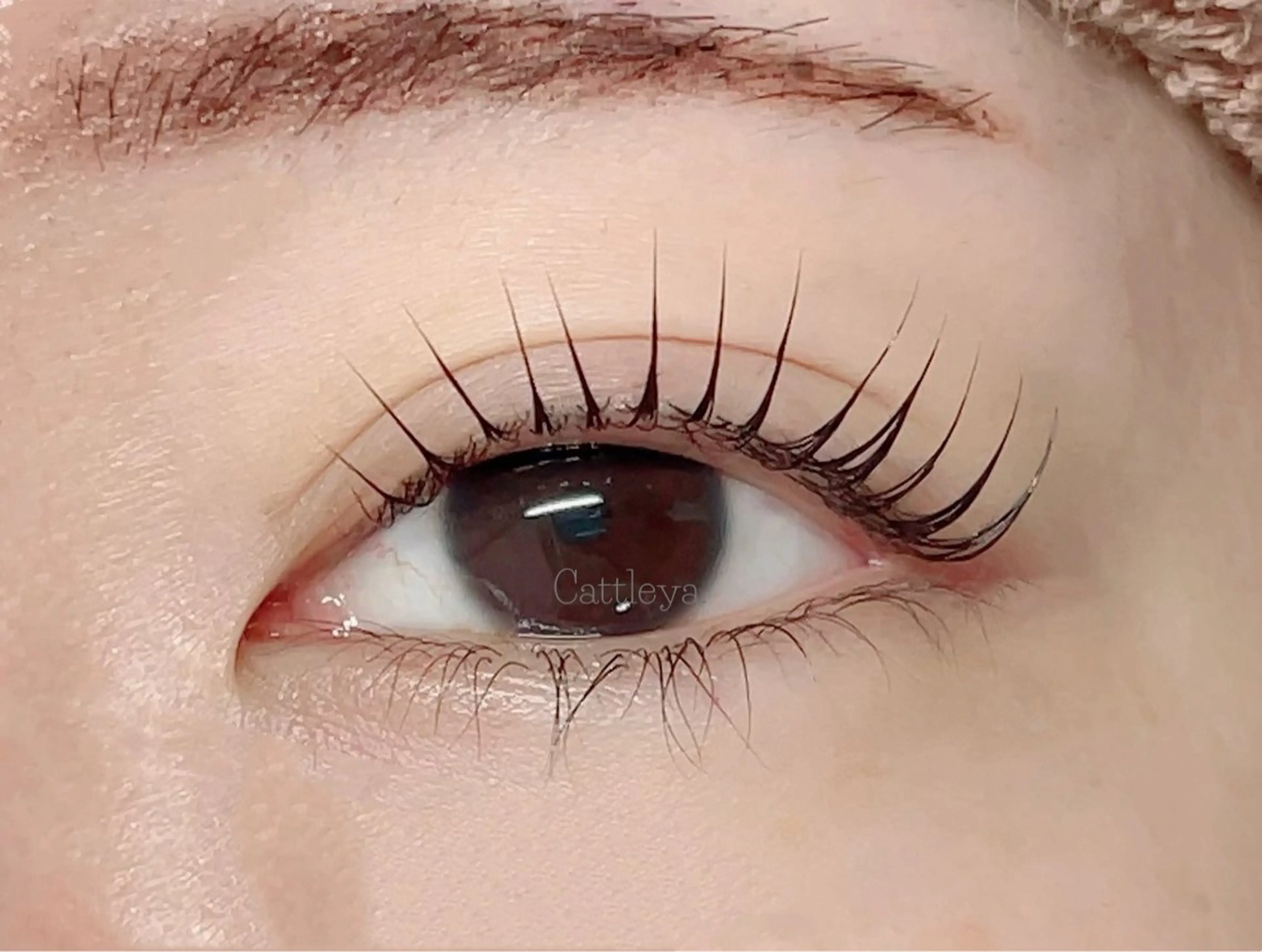 🩷パリジェンヌラッシュリフト🩷コーティング込¥3900の写真