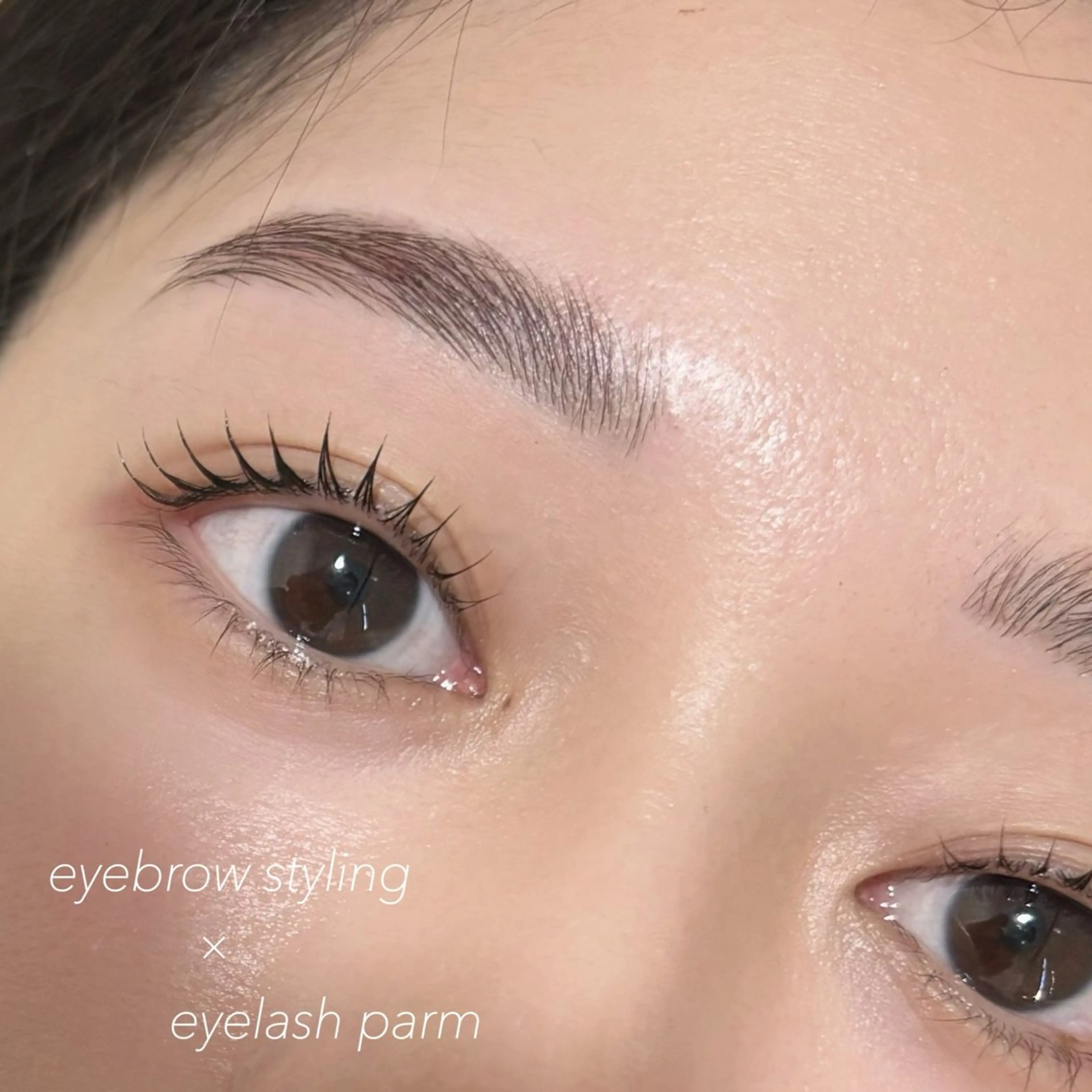 【お得なセットメニュー❣️】ハリウッドブロウリフト🪞&パリジェンヌラッシュリフト⚜️の写真