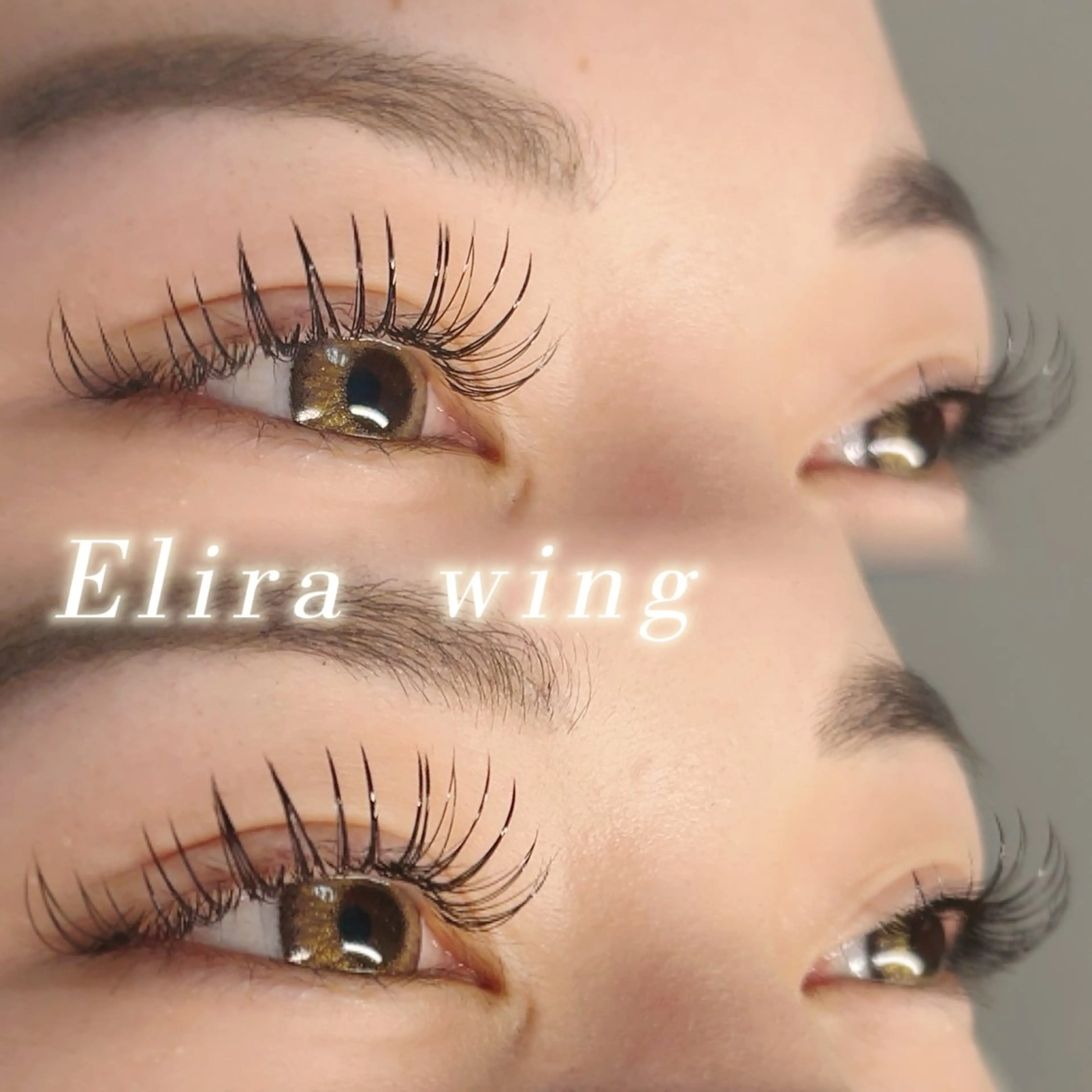 マツエク・マツパ Elira wingのマツエク・マツパデザイン