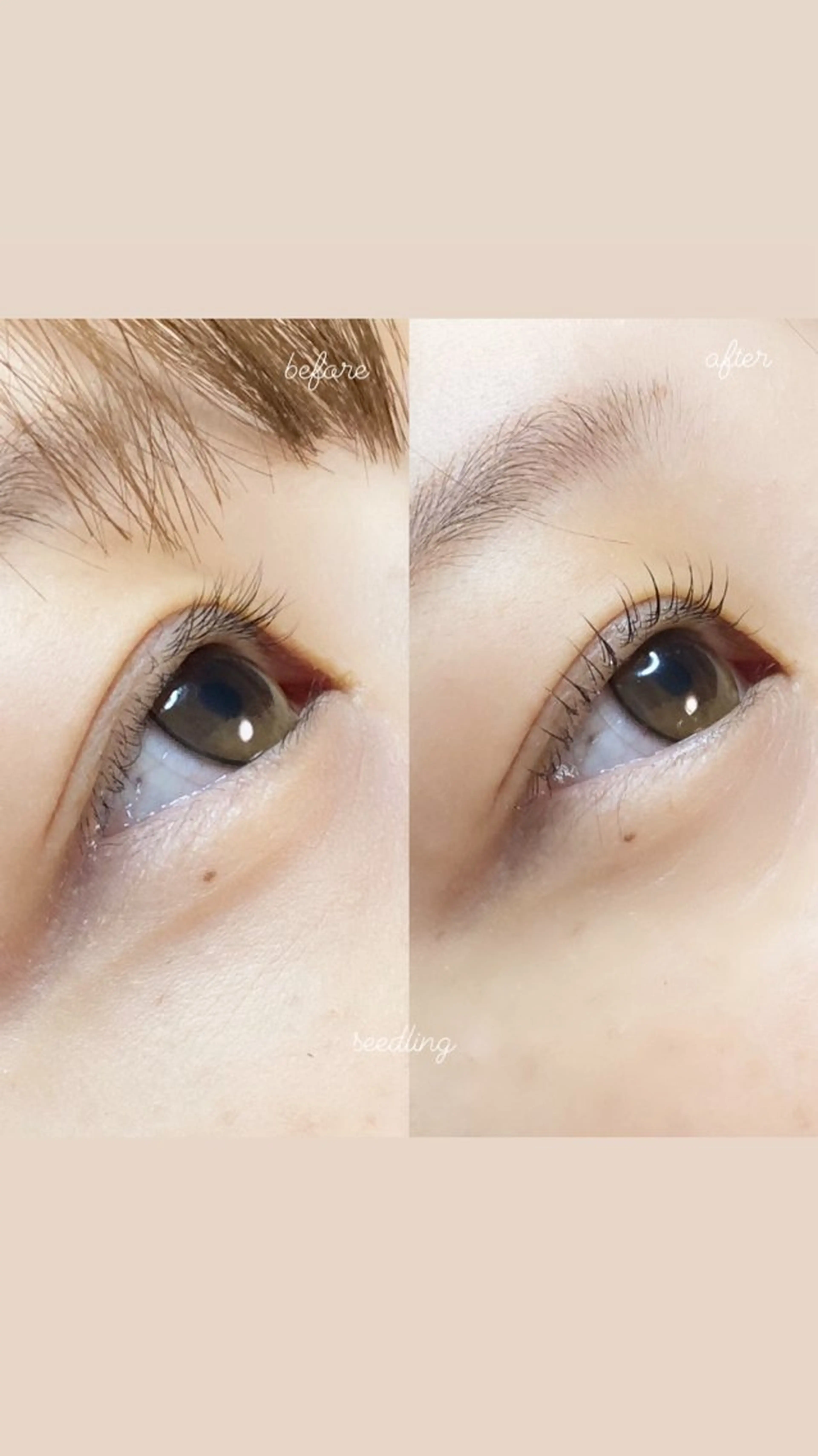 マツエク・マツパ マツパ シードリン 府内店 杉田のマツエク・マツパデザイン