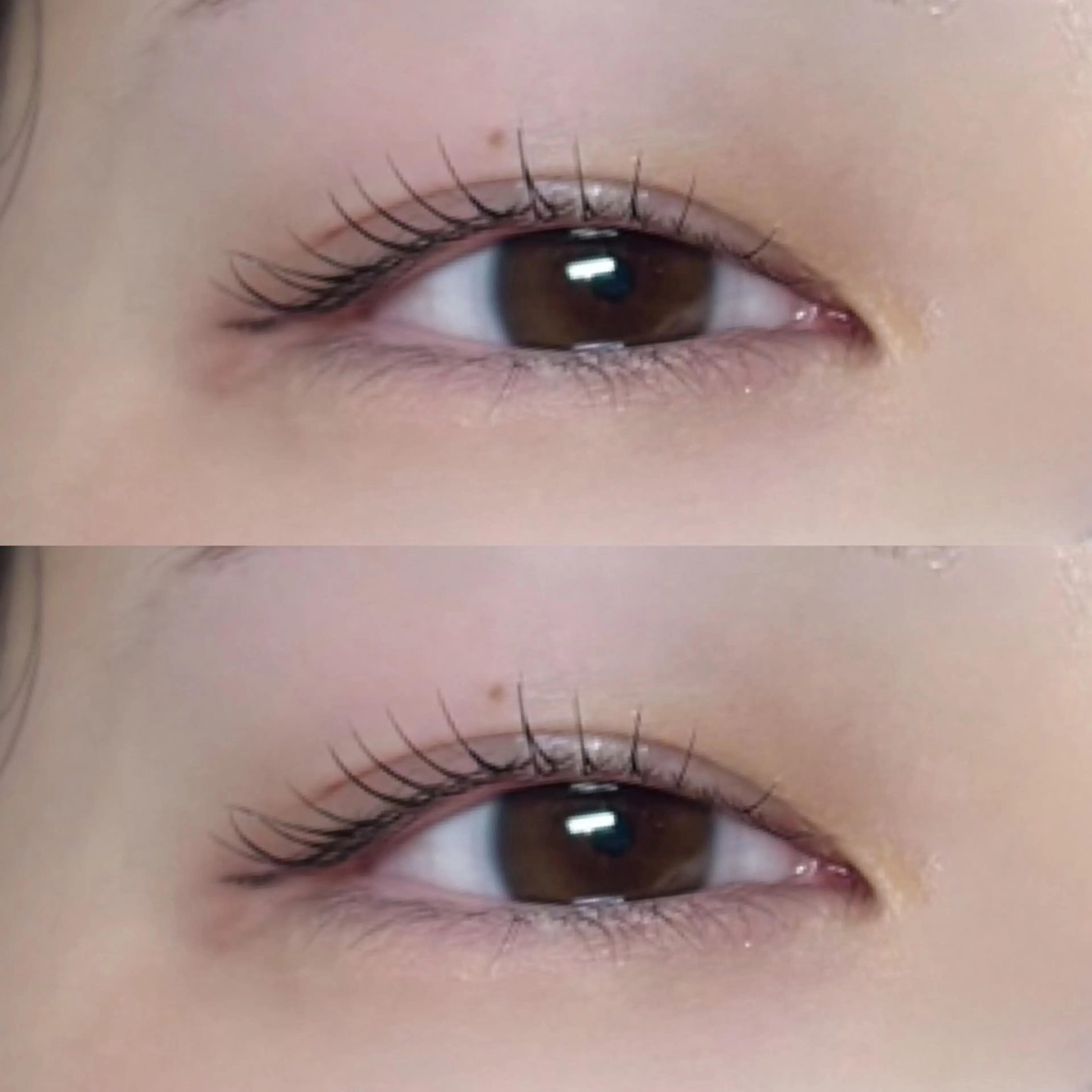 マツエク・マツパ マツパ anna /国分寺のマツエク・マツパデザイン