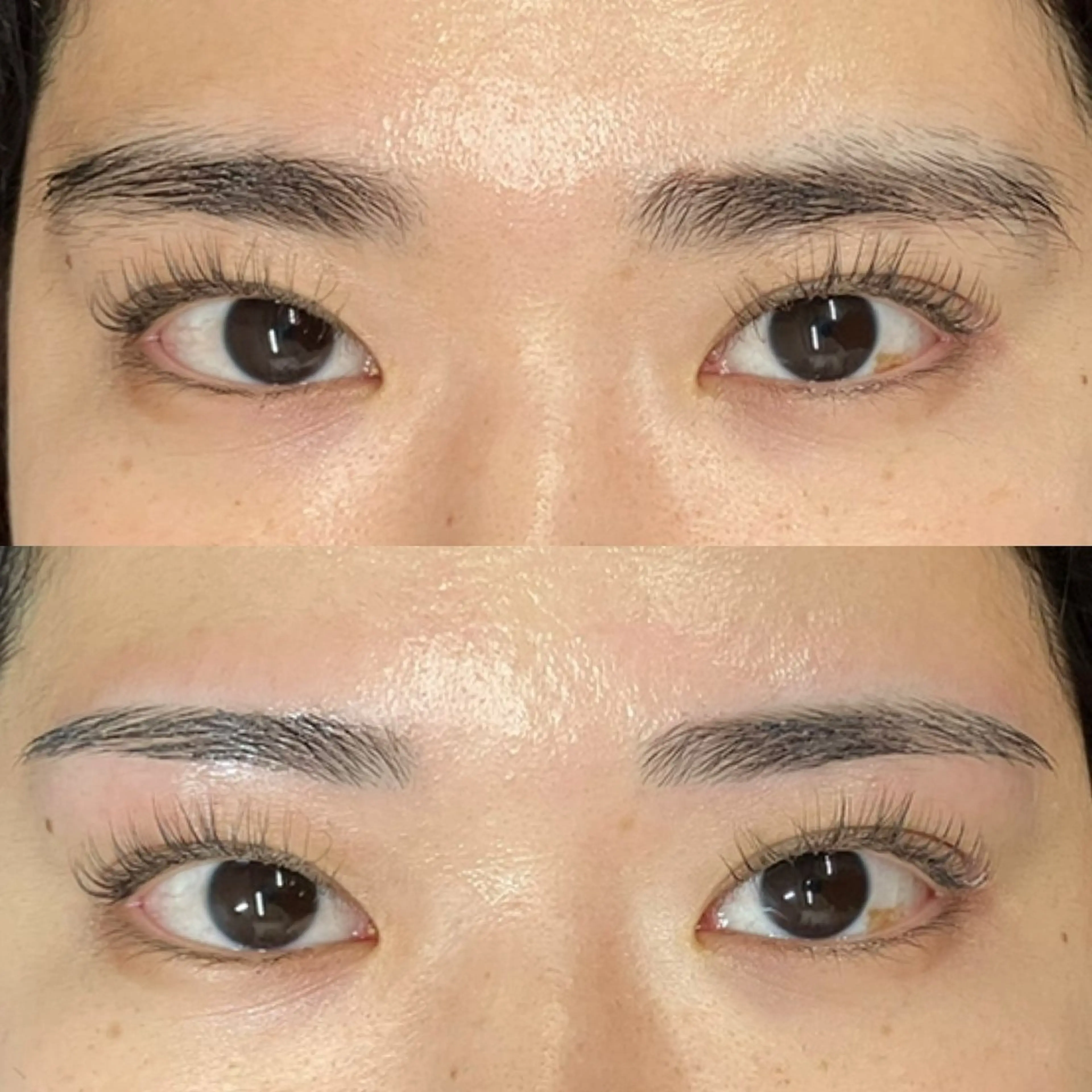 アイブロウ 【ダメージケア特化】 🌸 サクララッシュの眉毛・アイブロウイメージ