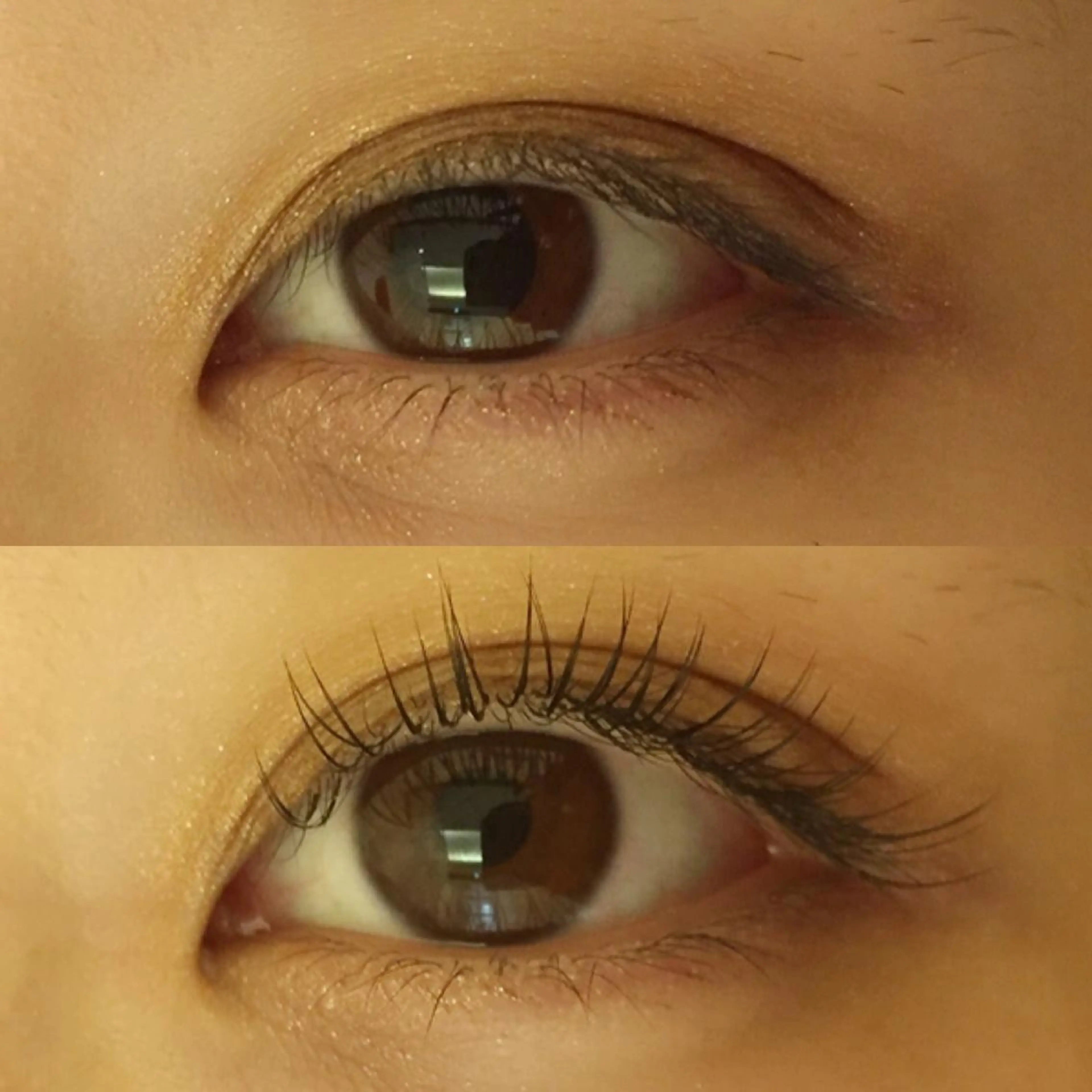 マツエク・マツパ フラットラッシュ 銀座/LEDマツエク 高宮のマツエク・マツパデザイン