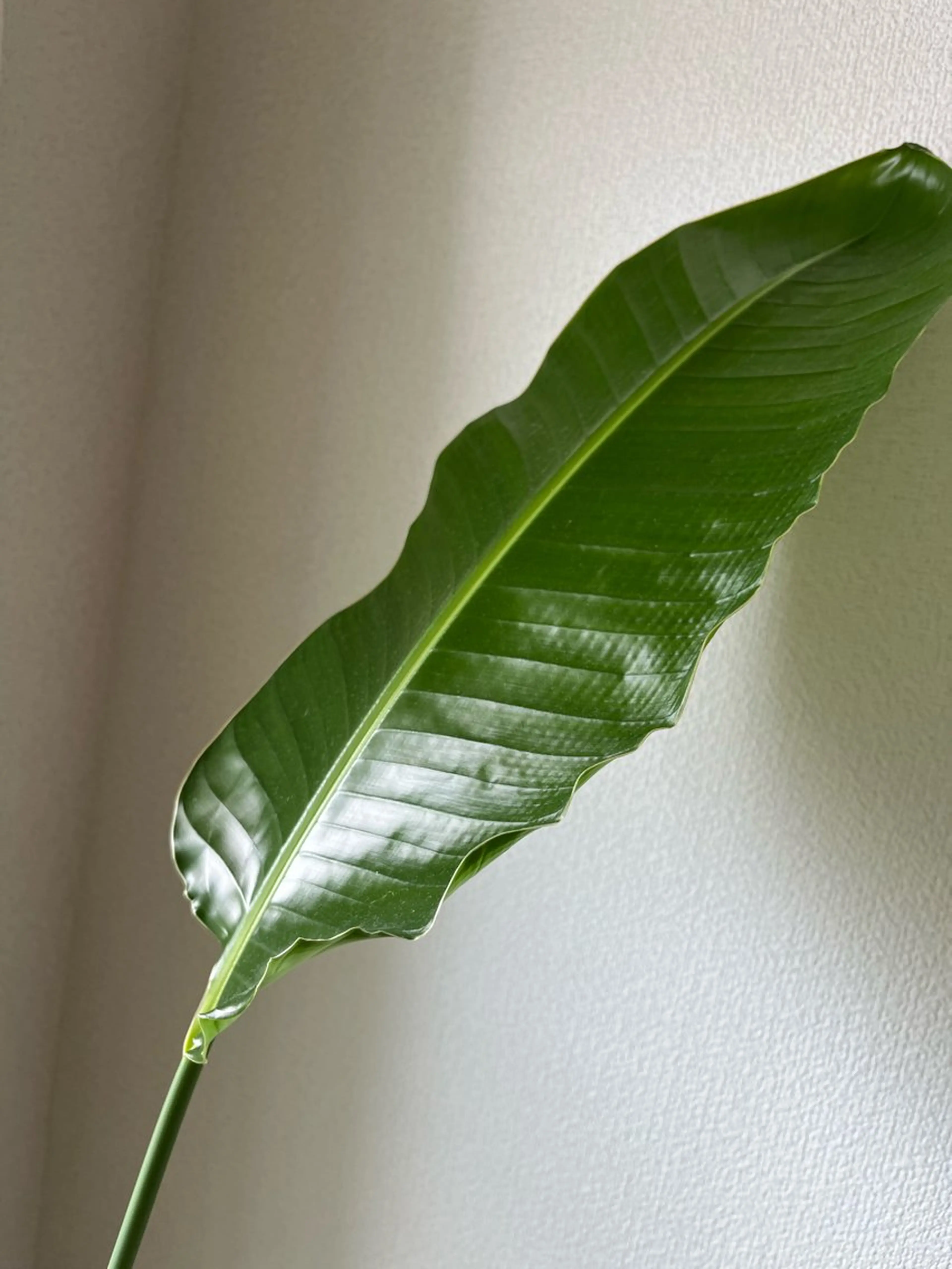 隠れ家エステ chapoのエステ・リラクイメージ