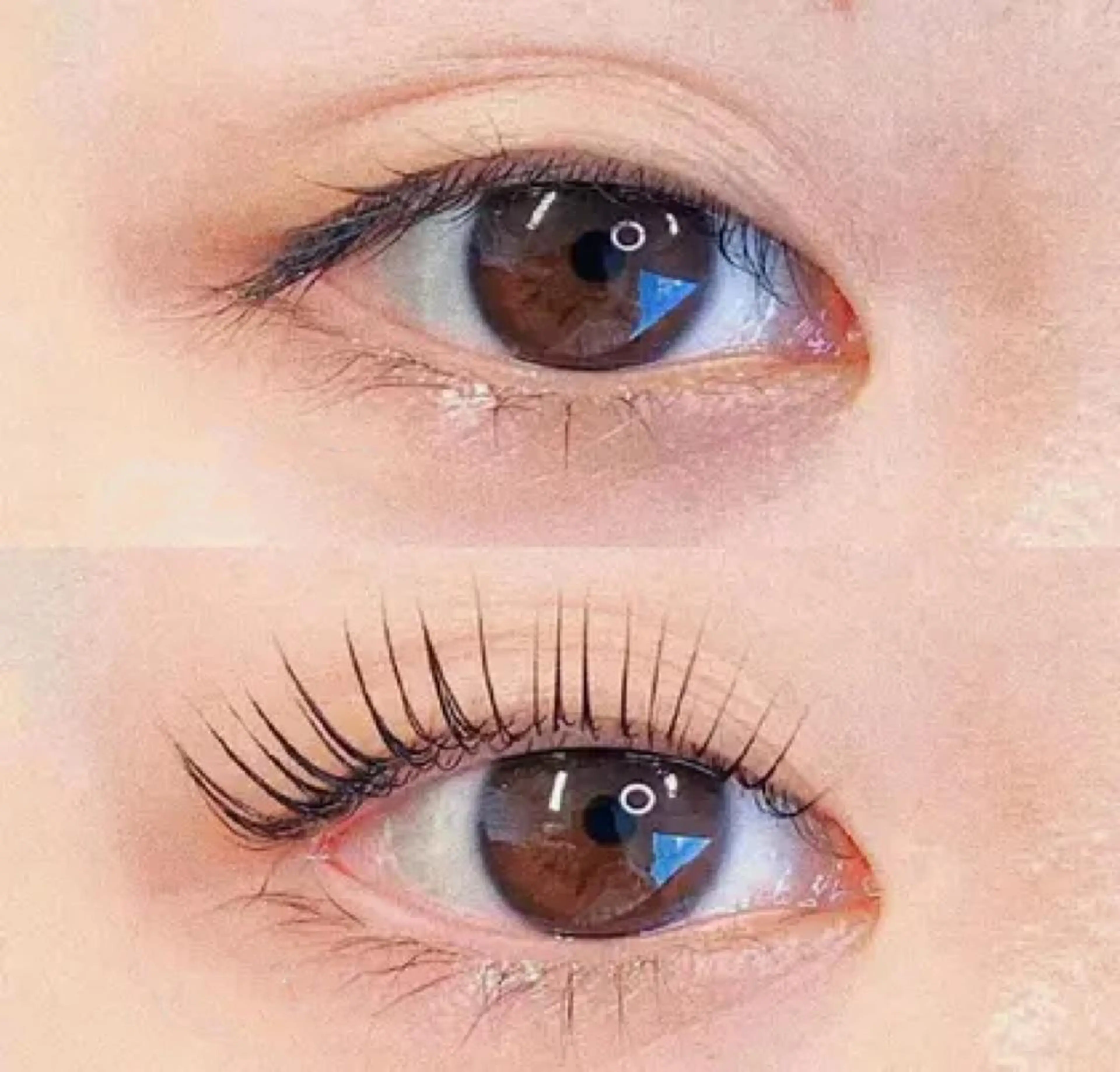 Jr.応援パリジェンヌラッシュリフトの写真