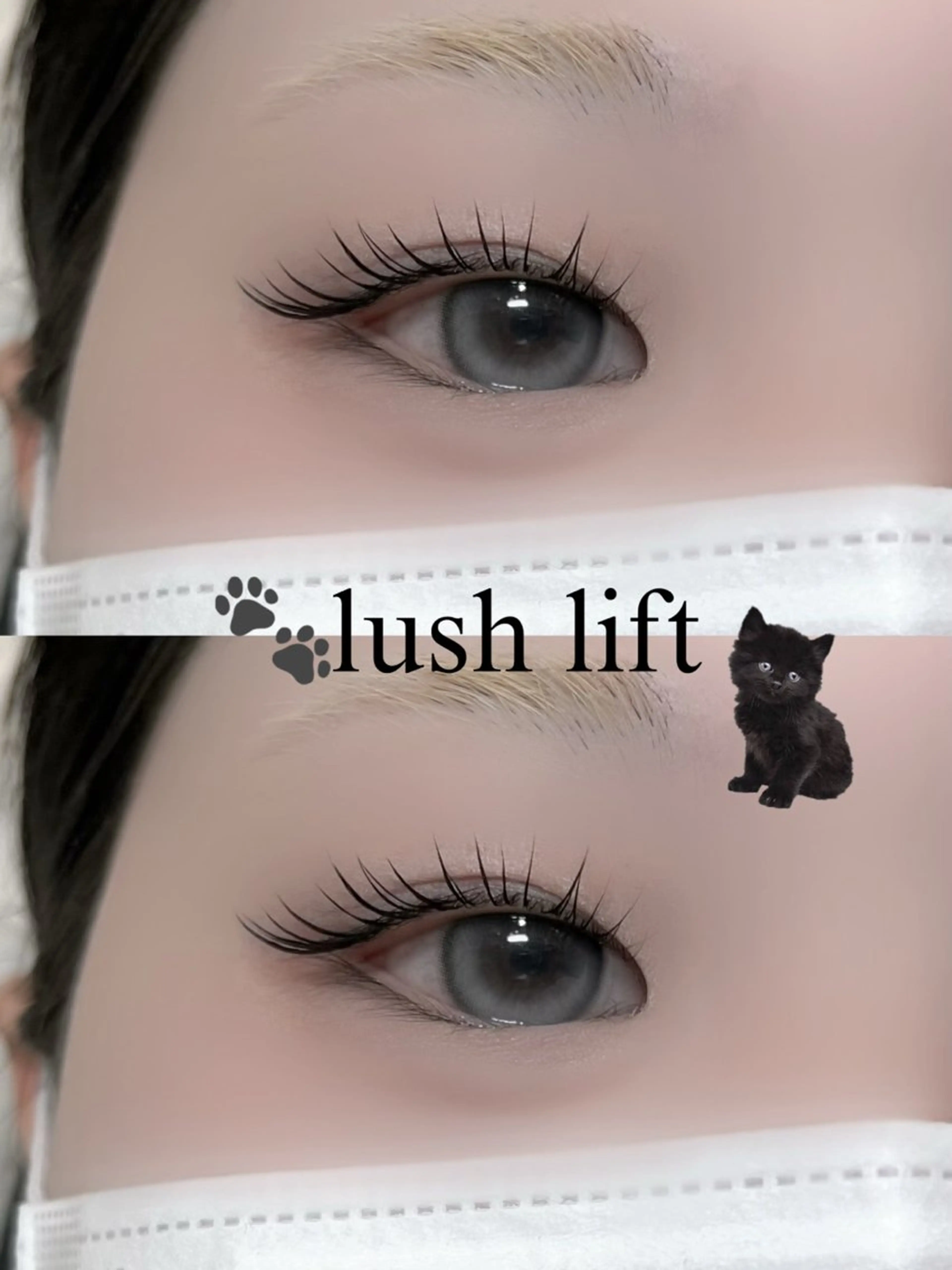 【人気no.1★】🐈‍⬛ラッシュリフトorパリジェンヌ+コーティング付き🐾の写真