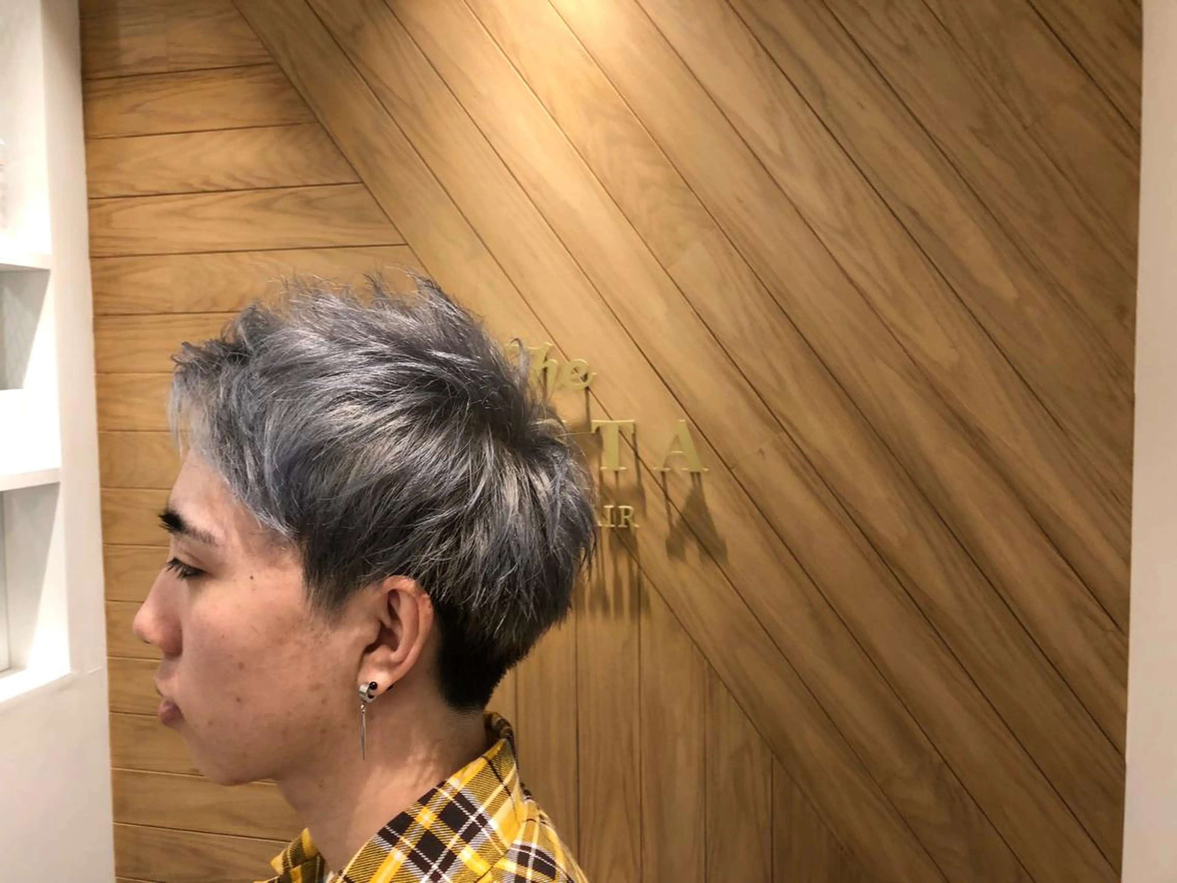 ショート カラー シルバー 鈴村 大介のヘアスタイル