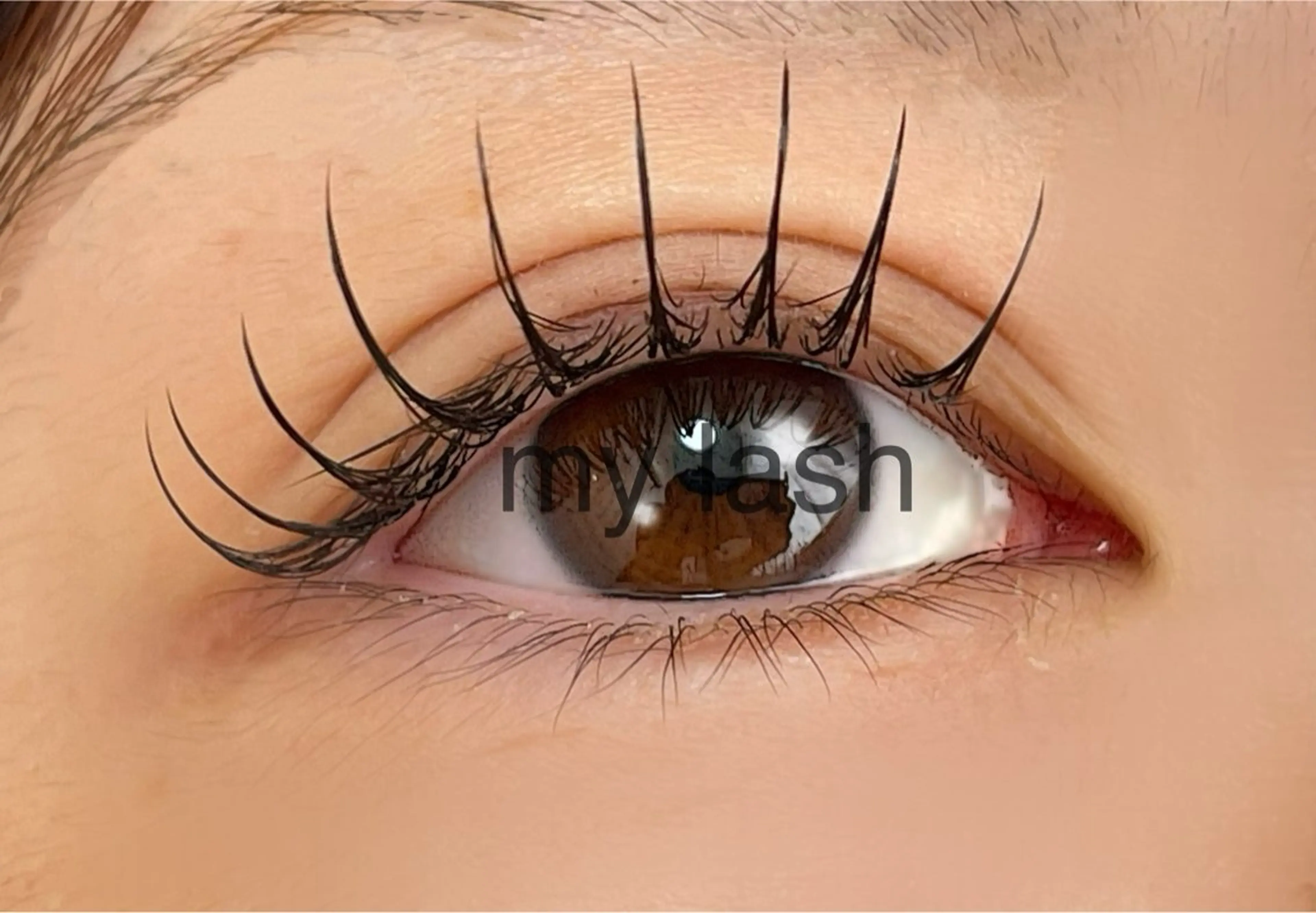 マツエク・マツパ マツエク my lash Hamadaのマツエク・マツパデザイン