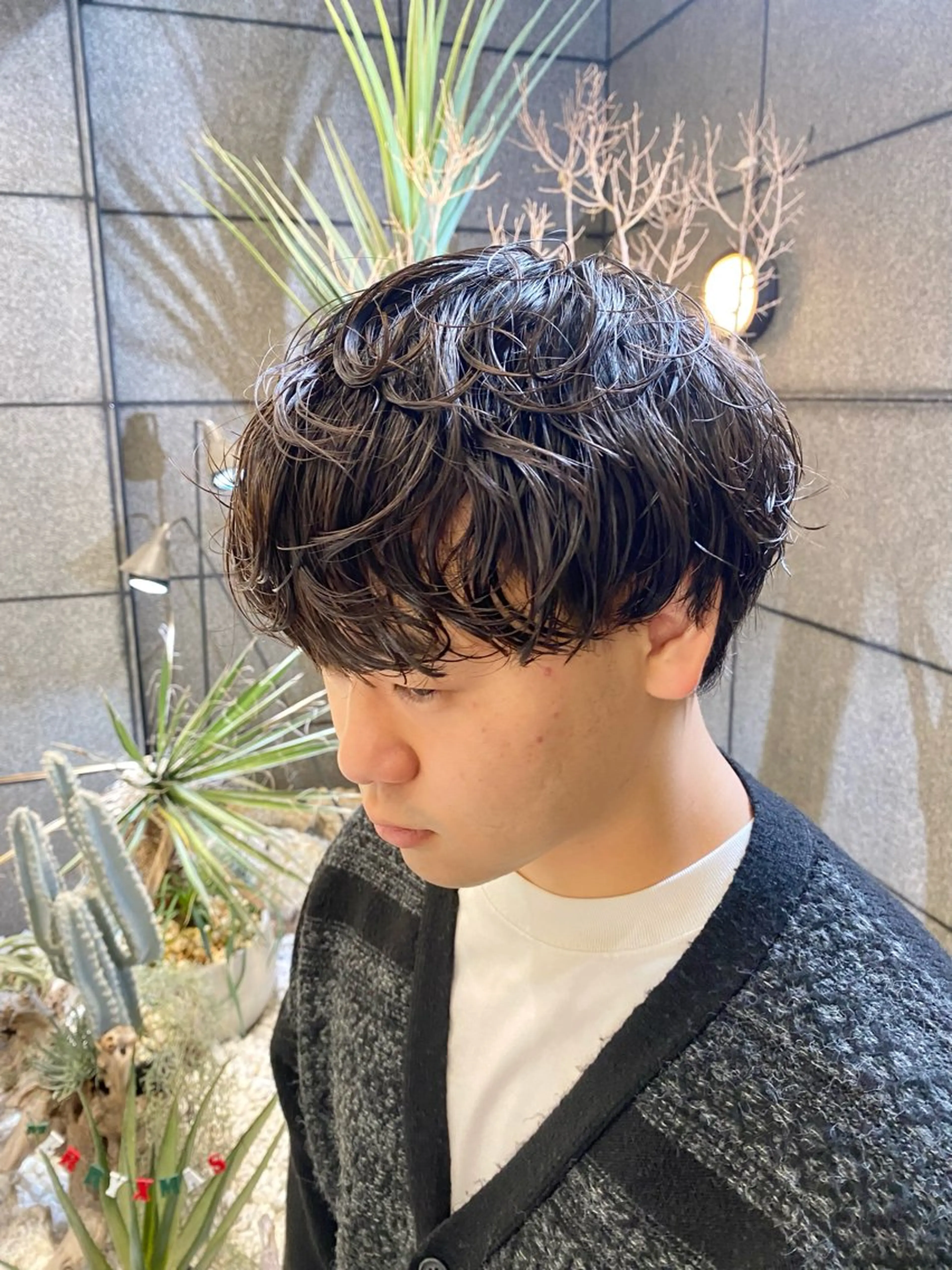 ショート パーマ メンズ 酸スト/フェザー パーマ/三谷海斗のヘアスタイル