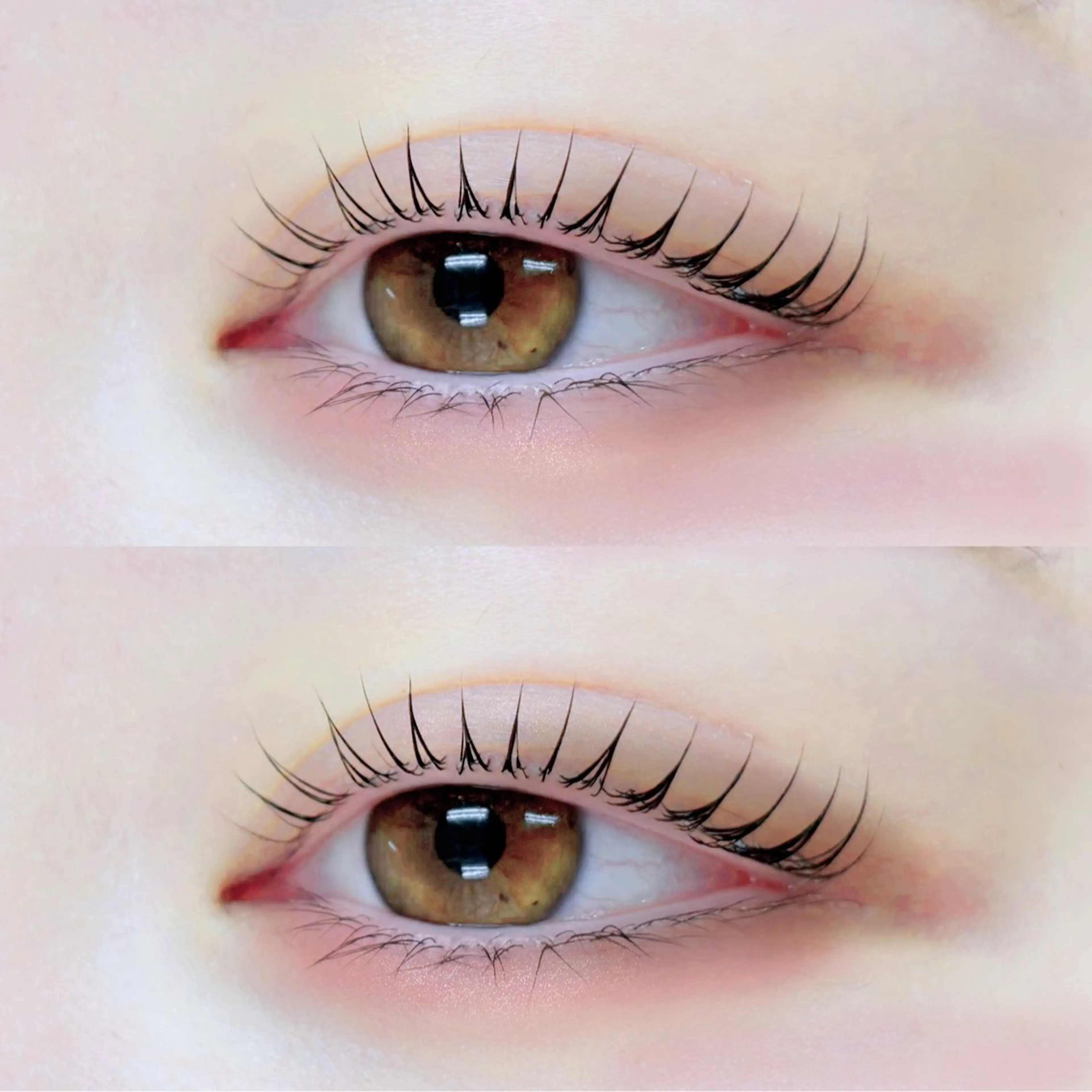 マツエク・マツパ 韓国まつげ_束エク ⟡mikoのマツエク・マツパデザイン