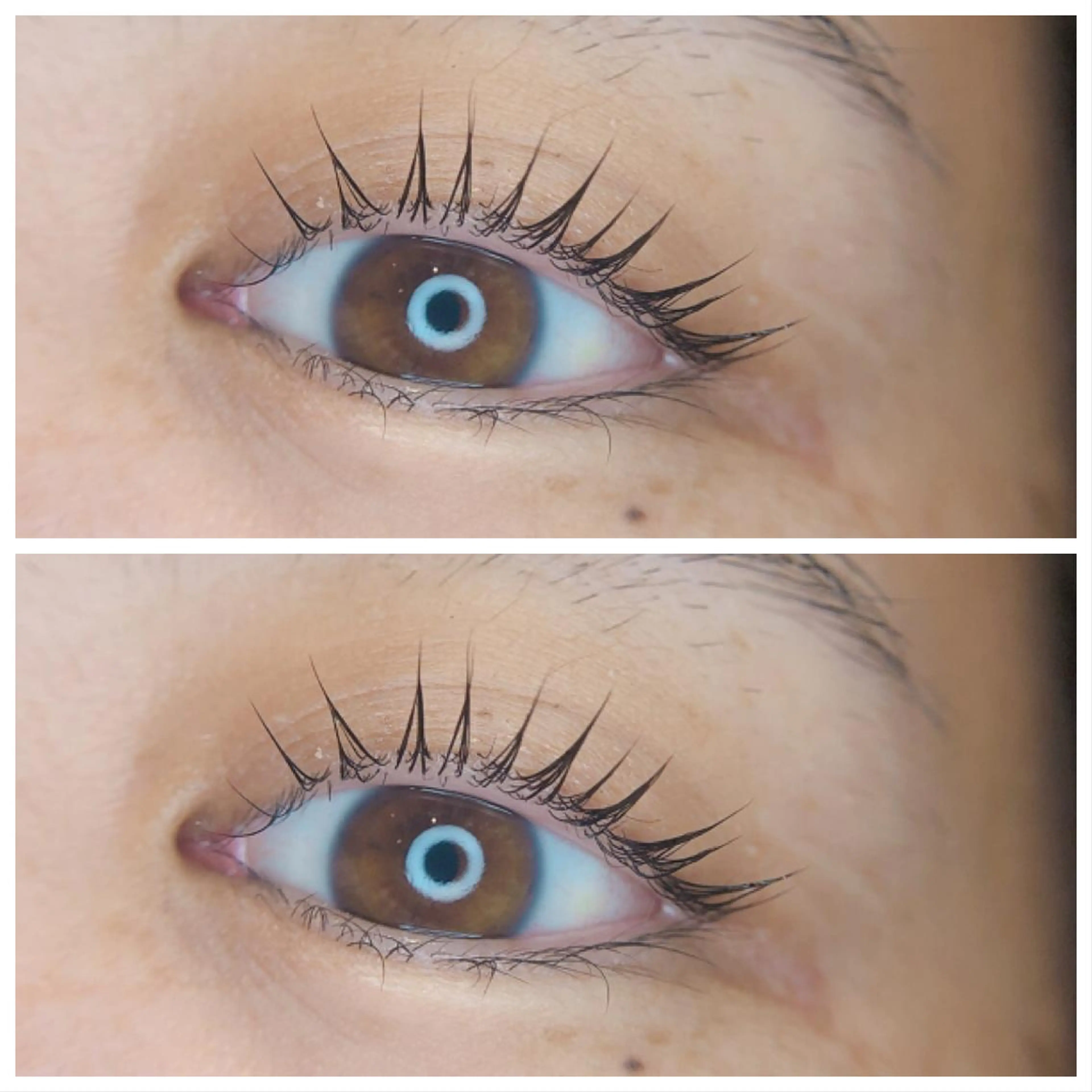 マツエク・マツパ パリジェンヌラッシュリフト 【hisui】長尾 ゆかりのマツエク・マツパデザイン