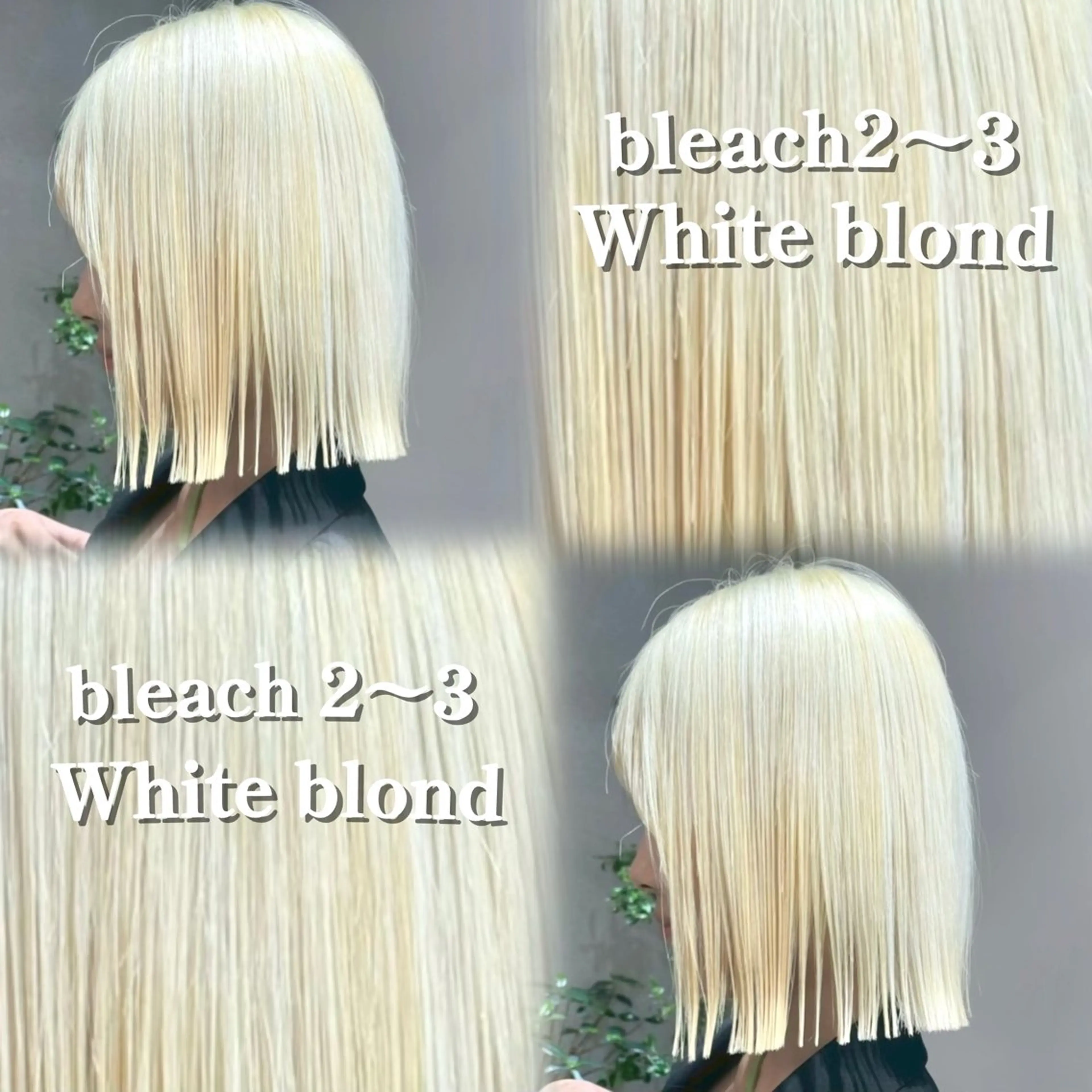 ショート カラー ブロンド ボブ カット ヘアカラー トリートメント レイヤーボブ特化/ 横浜/伊藤　怜のヘアスタイル