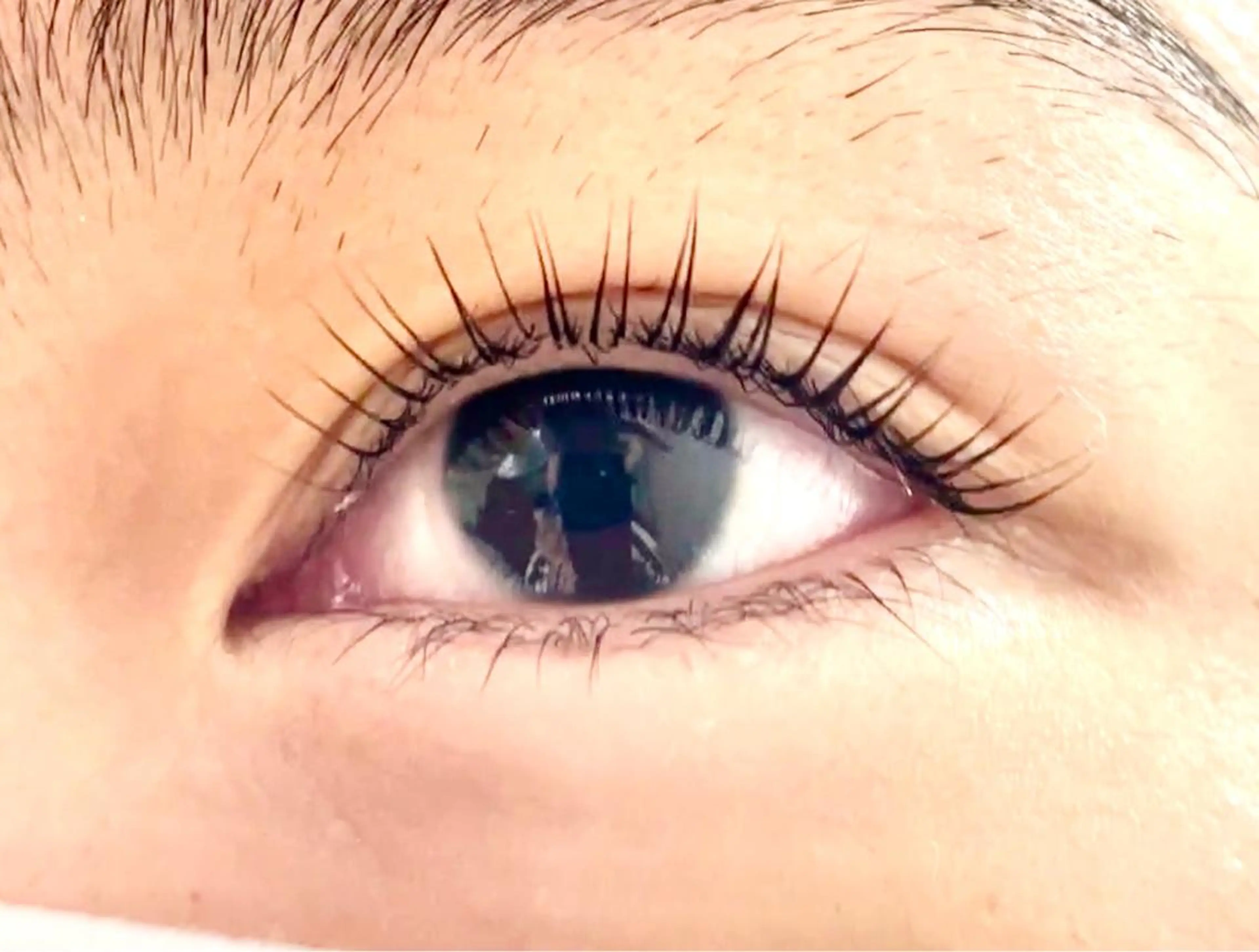 マツエク・マツパ マツパ Shinus シャイナスのマツエク・マツパデザイン