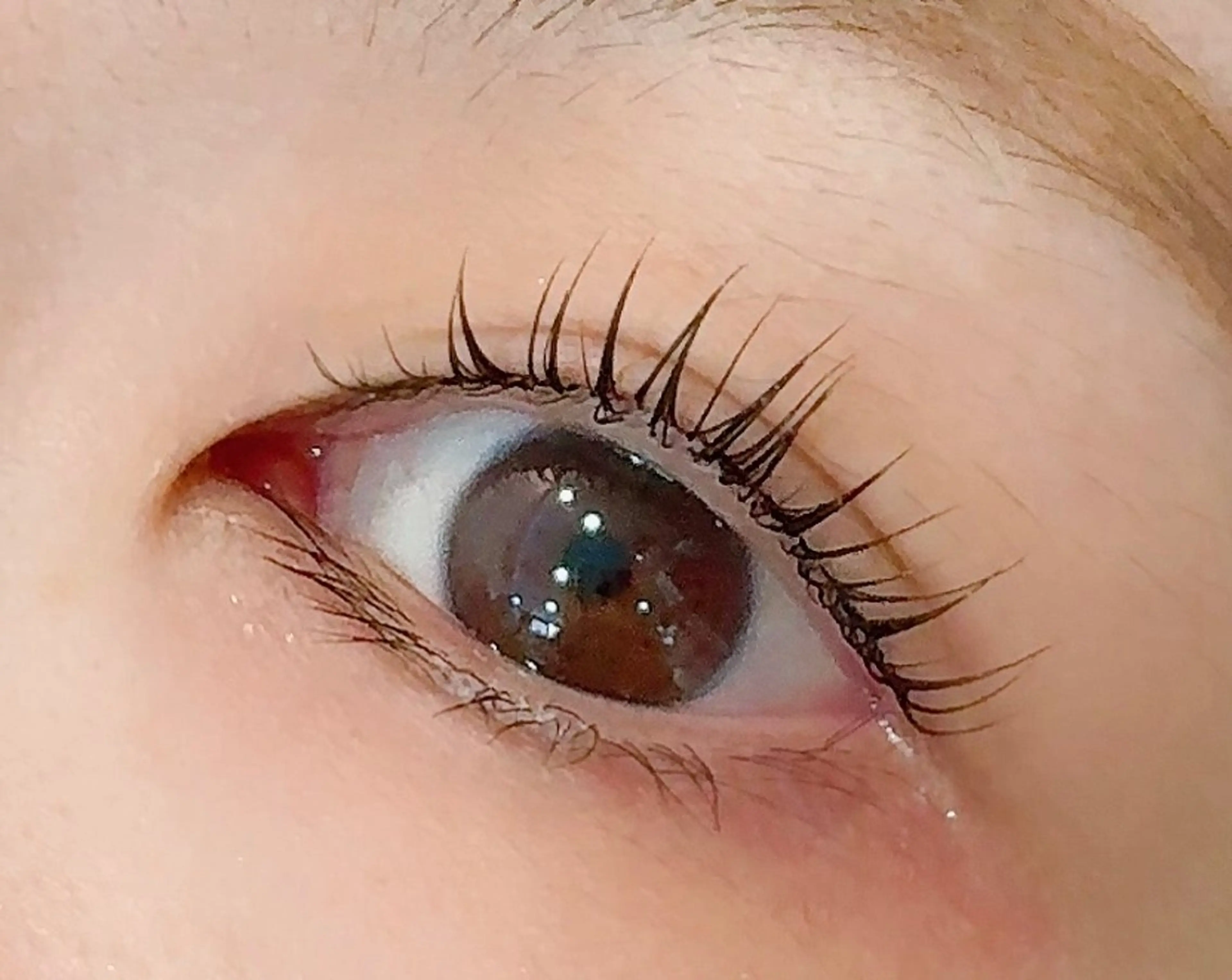 ♡SNSで話題沸騰中♡マスカラパーマ!!ブラックティントでお仕上げ✨️￥7,990→￥5,000土日祝￥5,800の写真