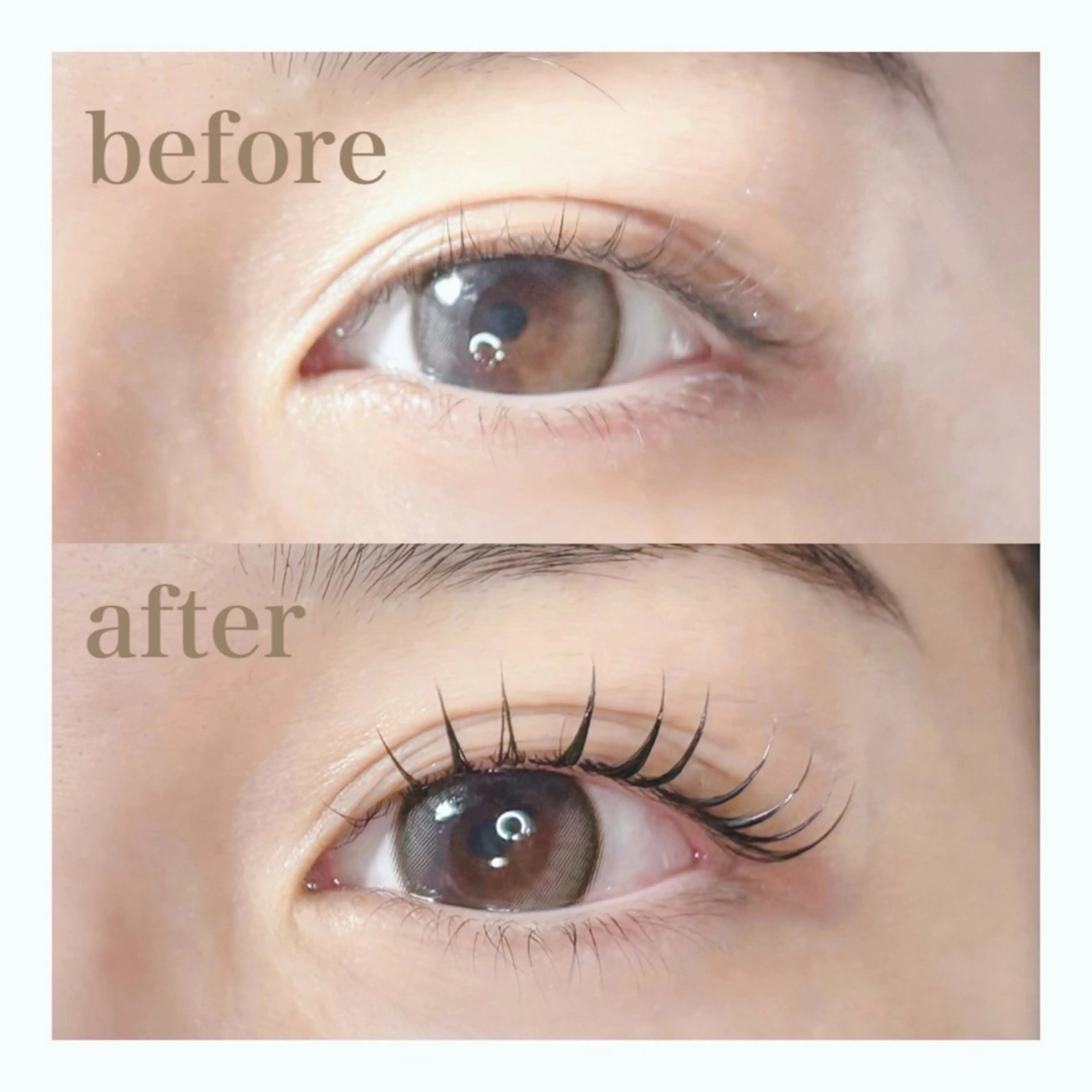 マツエク・マツパ clare津田沼店 Aoiのマツエク・マツパデザイン